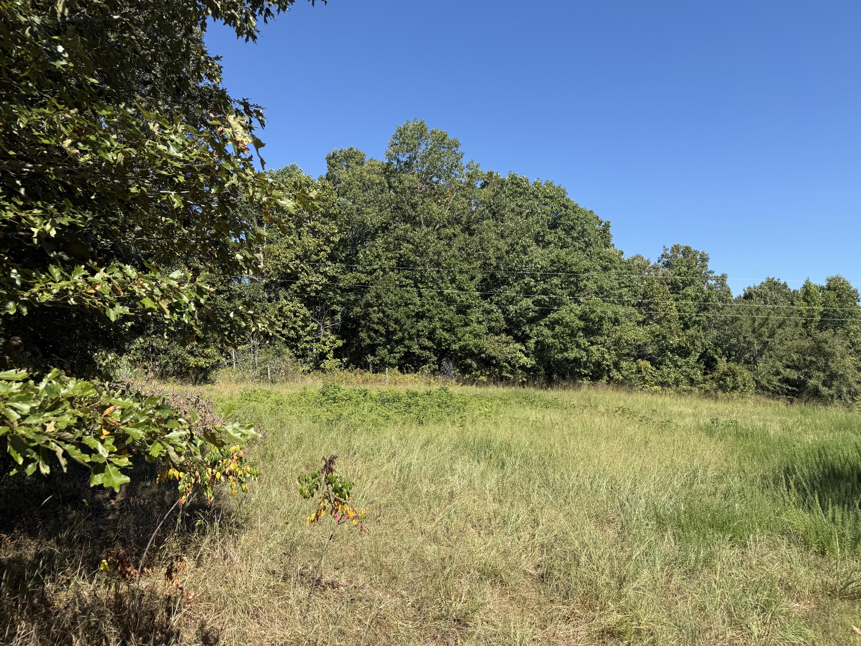 8125 Heart Road Property Photo 4