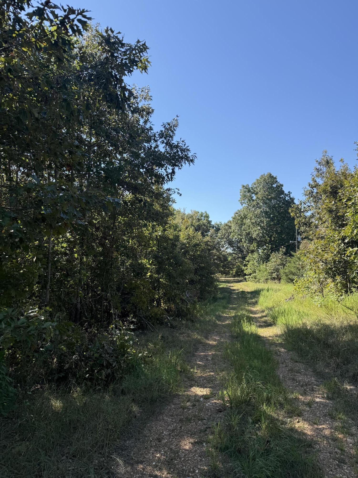 8125 Heart Road Property Photo 6
