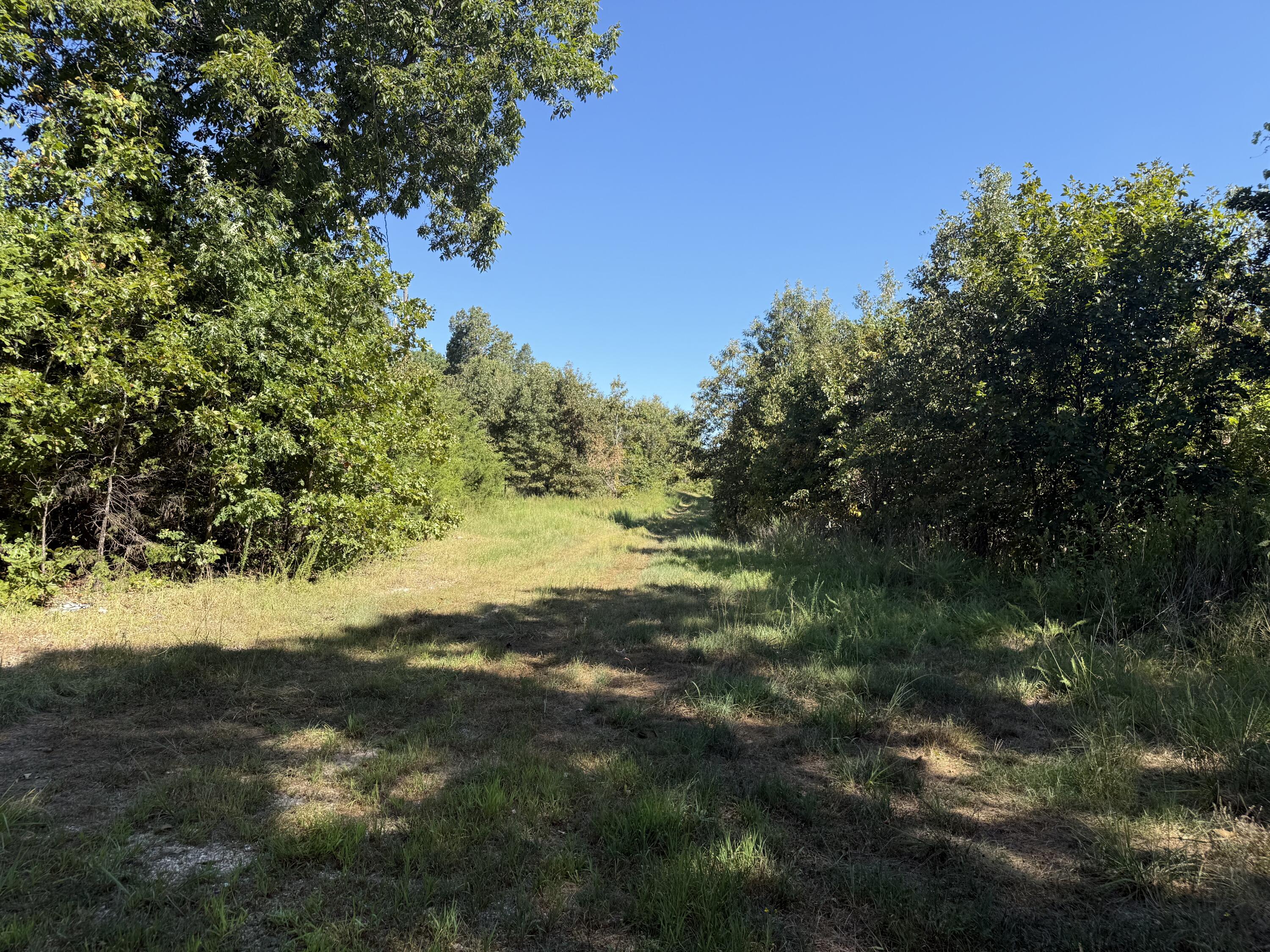 8125 Heart Road Property Photo 7