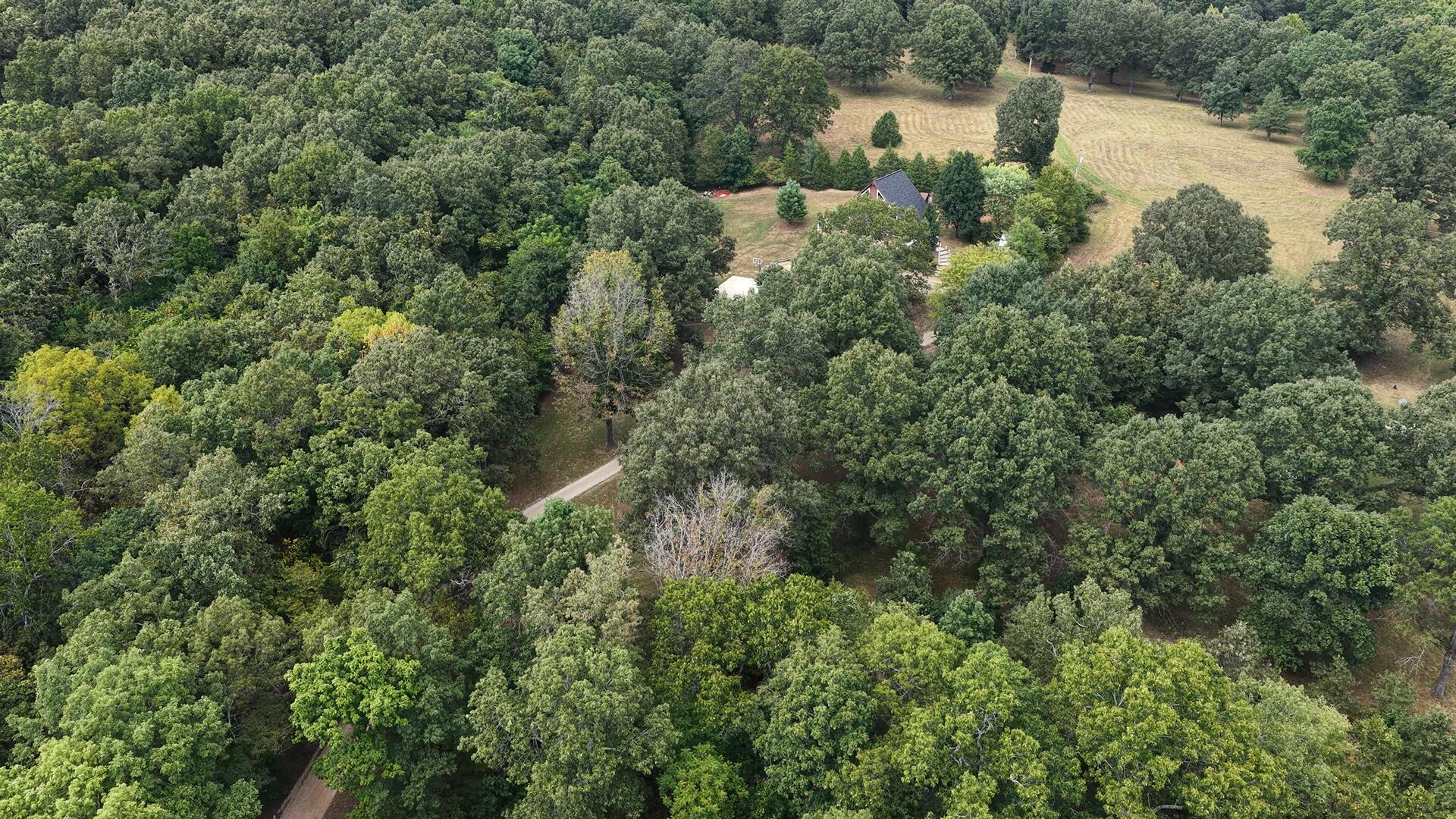 405 Private Road 63-106 Property Photo 35