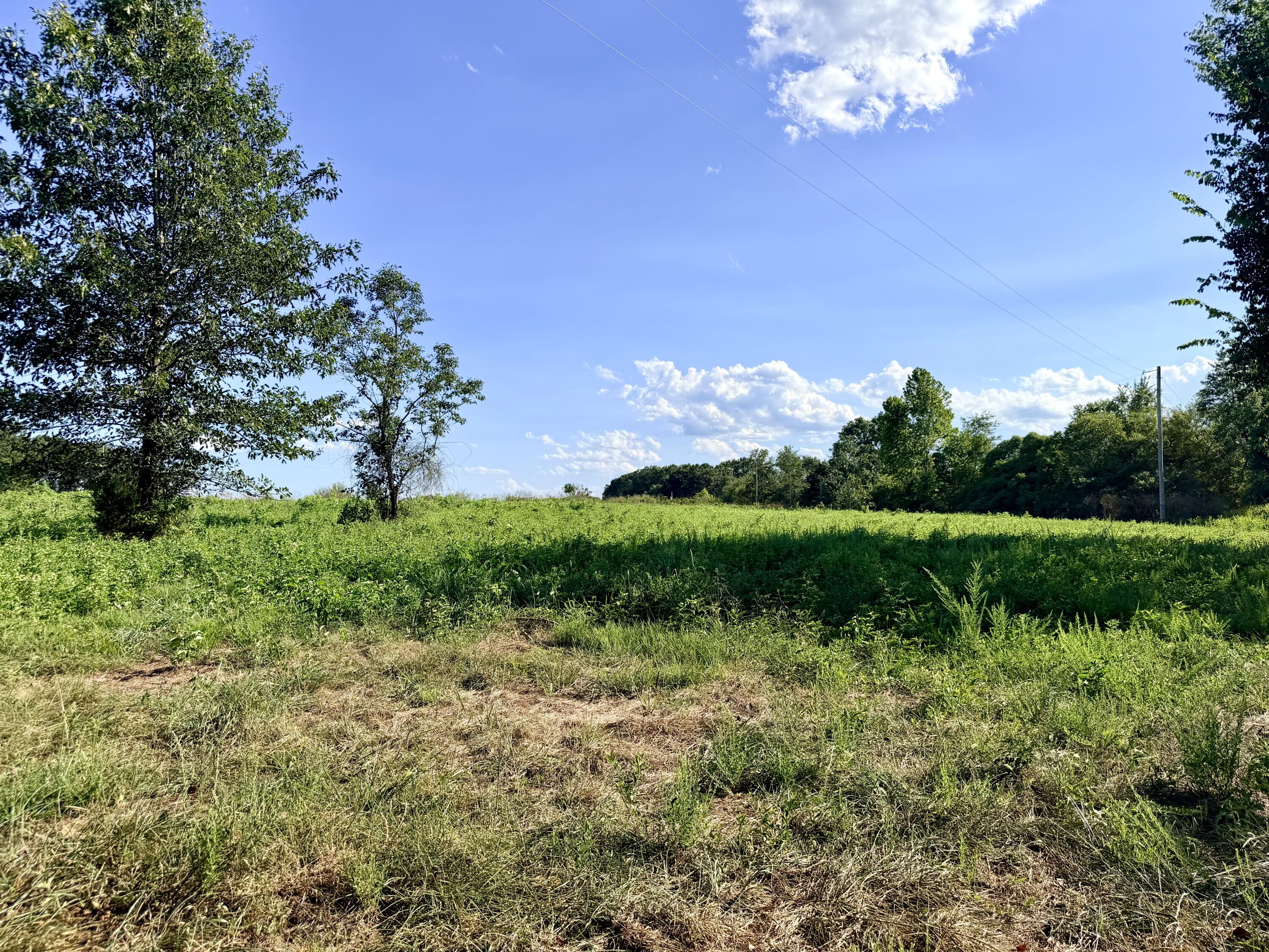 379 Fabuzi Lane Property Photo 1