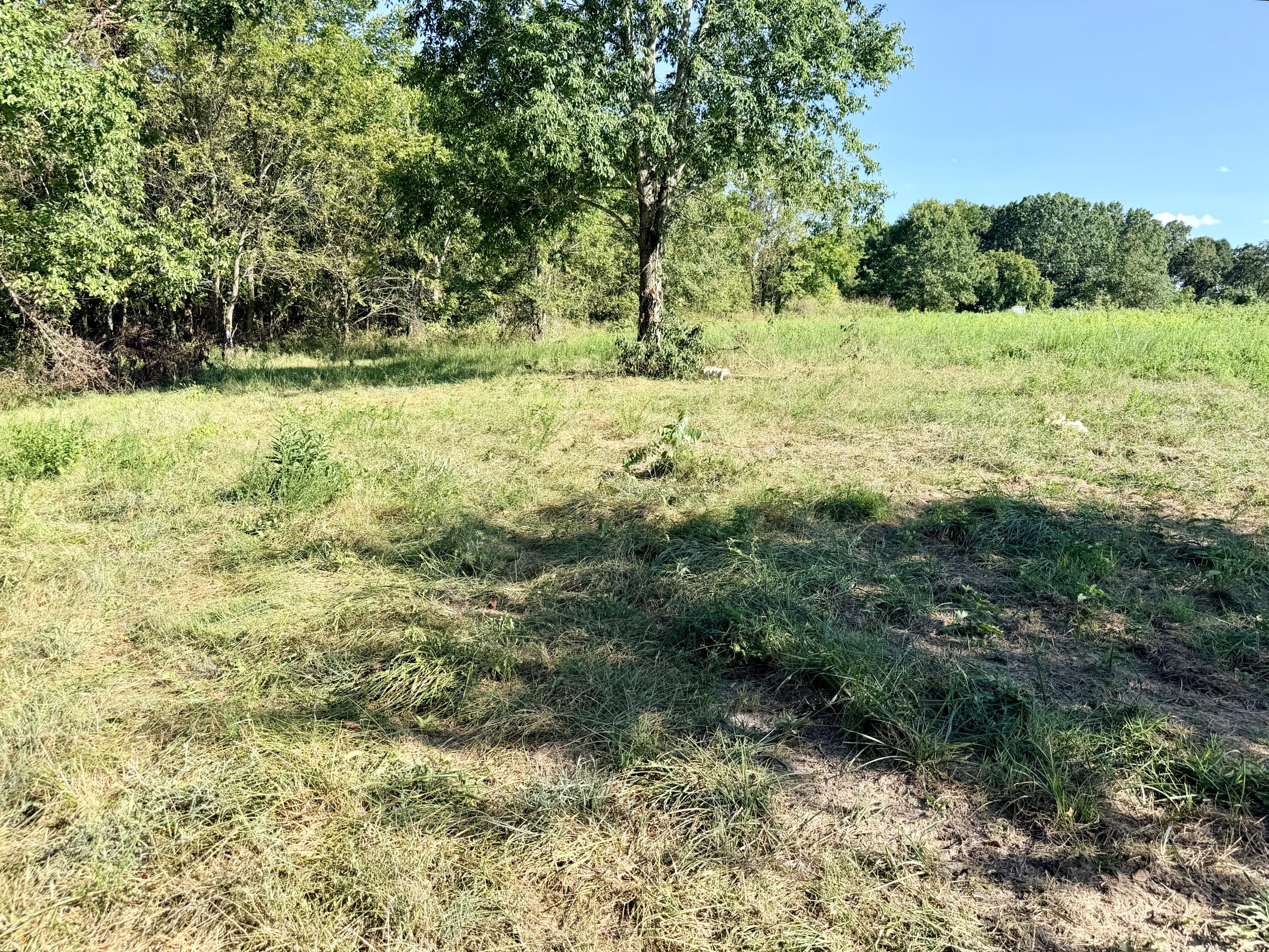 379 Fabuzi Lane Property Photo 5