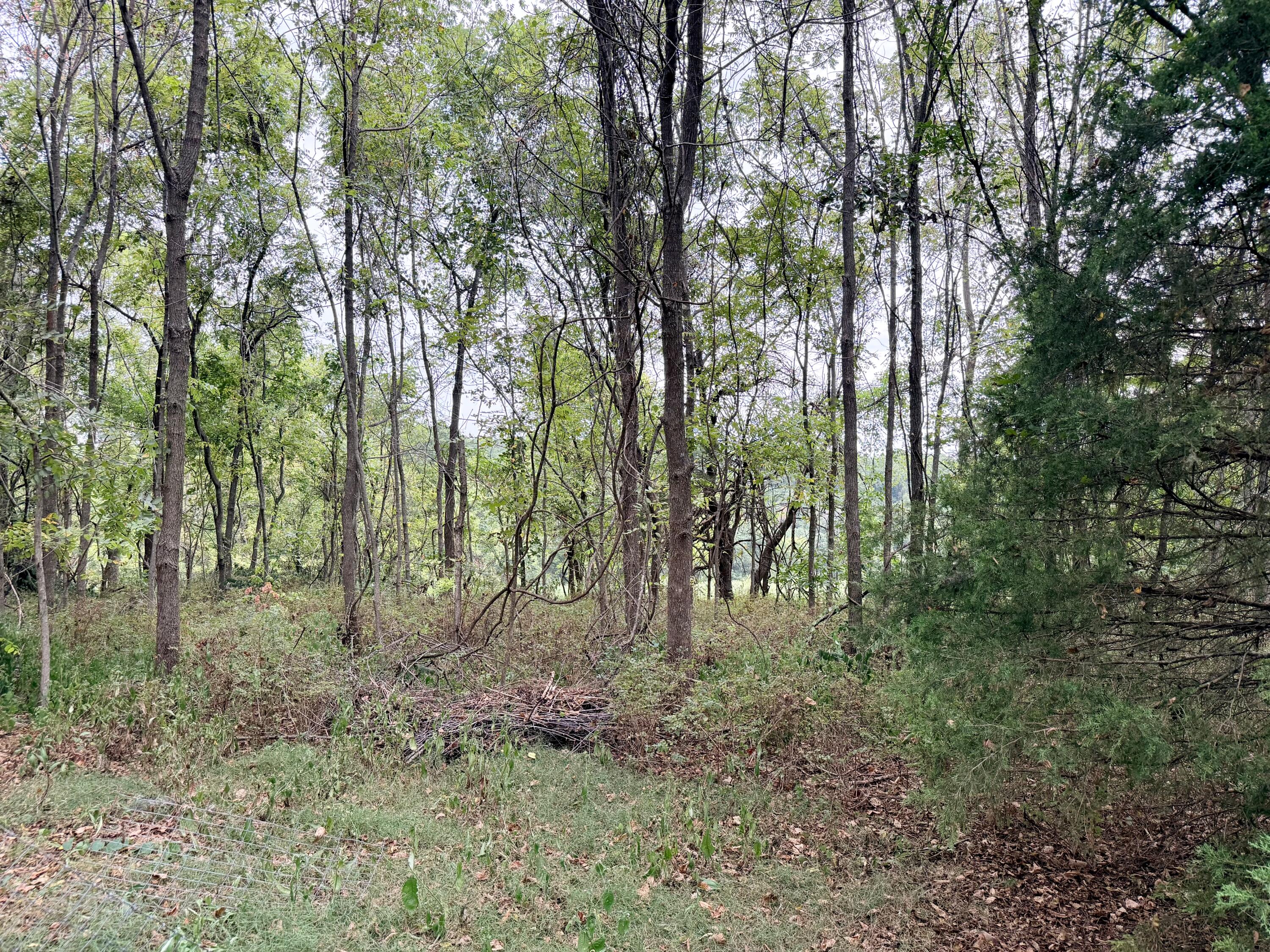 379 Fabuzi Lane Property Photo 9