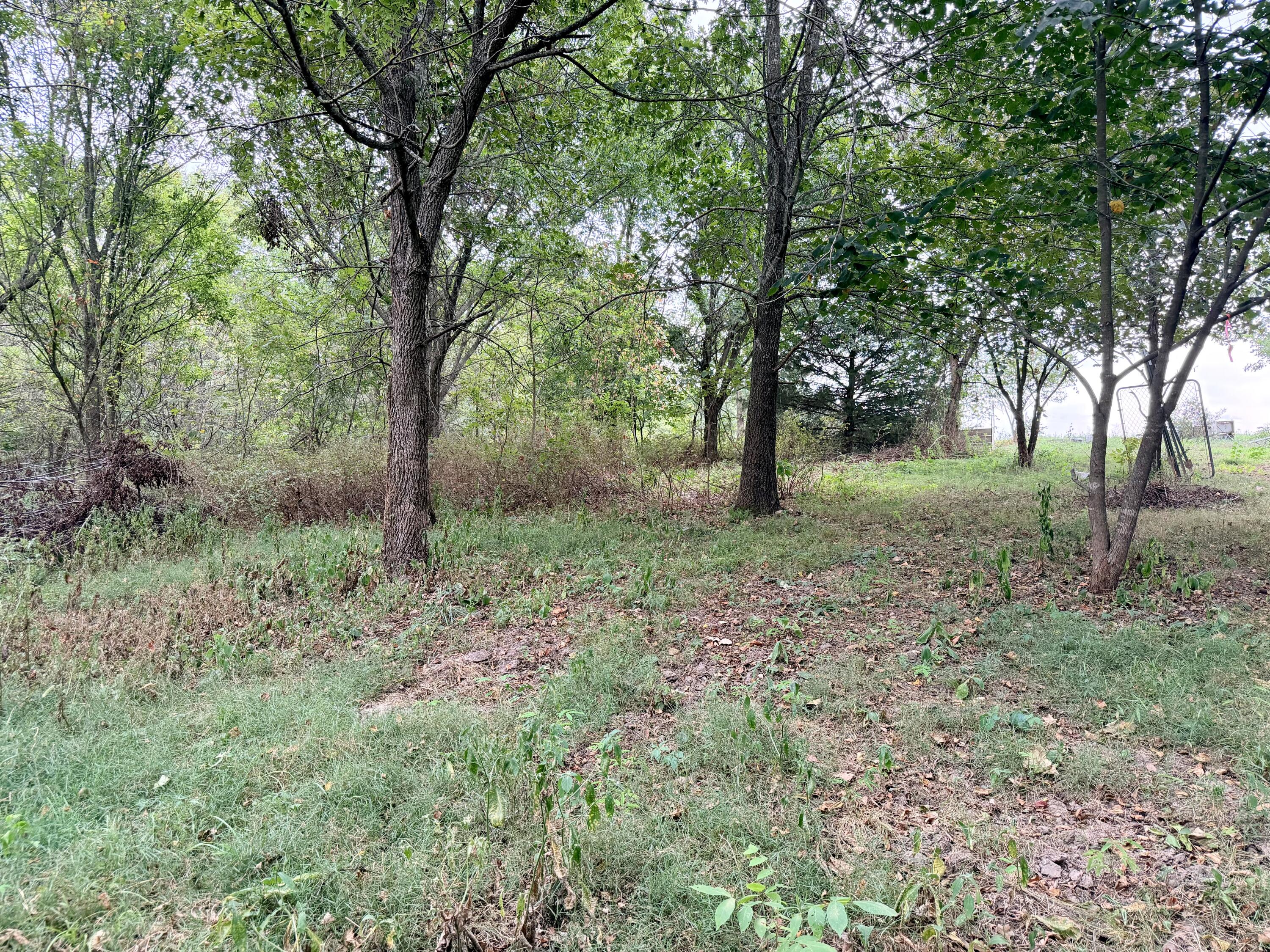 379 Fabuzi Lane Property Photo 10