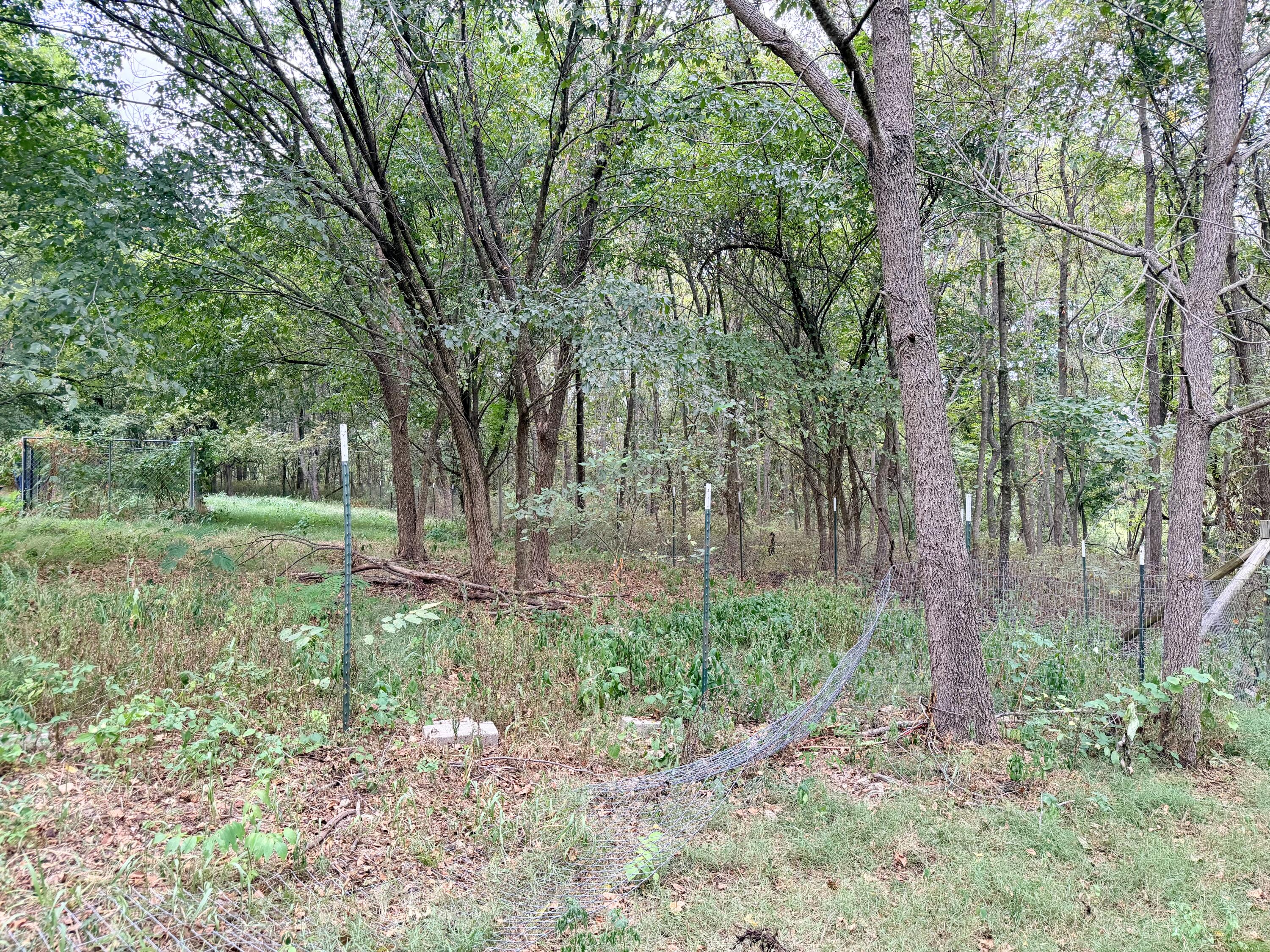 379 Fabuzi Lane Property Photo 11