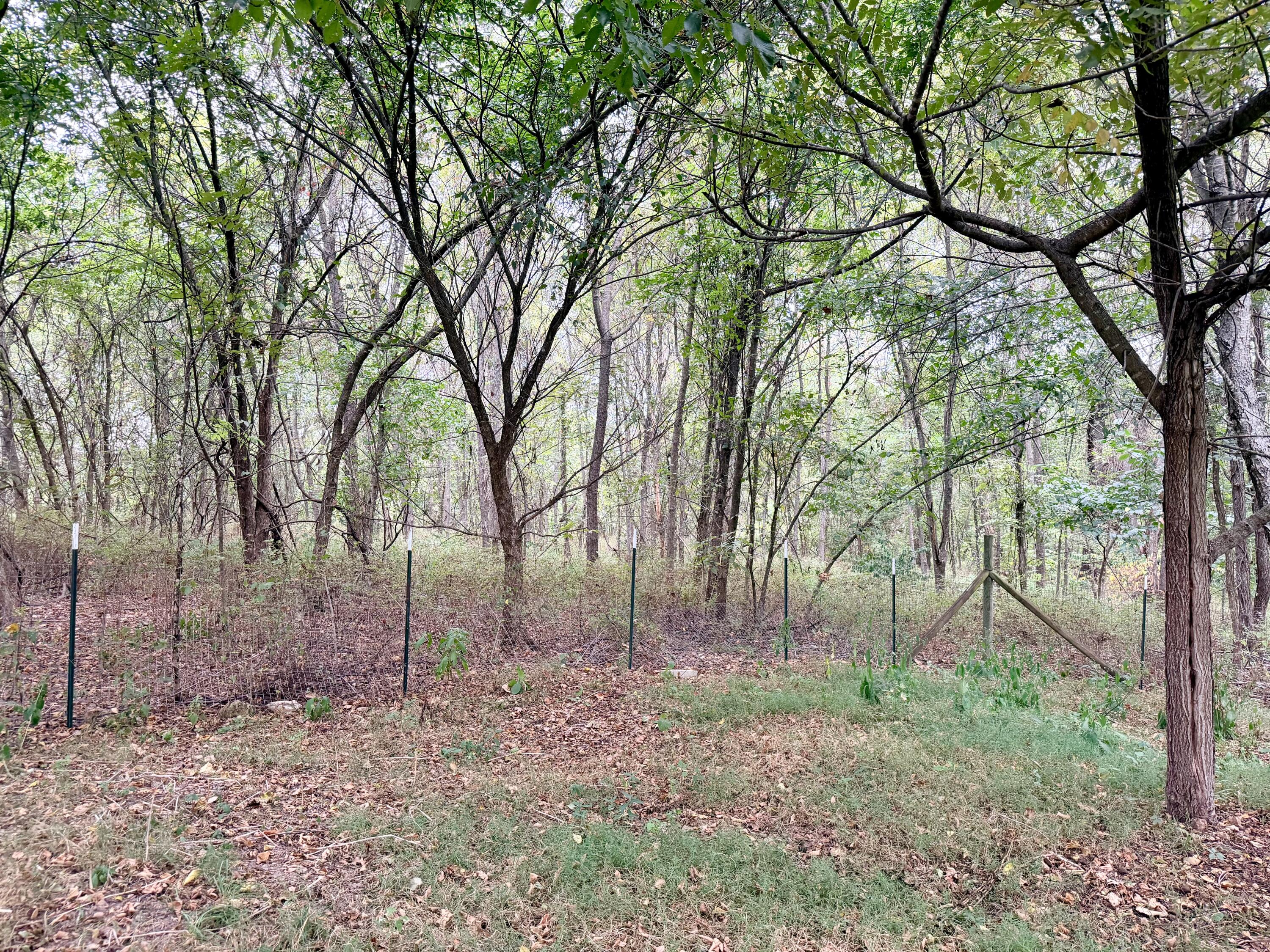 379 Fabuzi Lane Property Photo 13