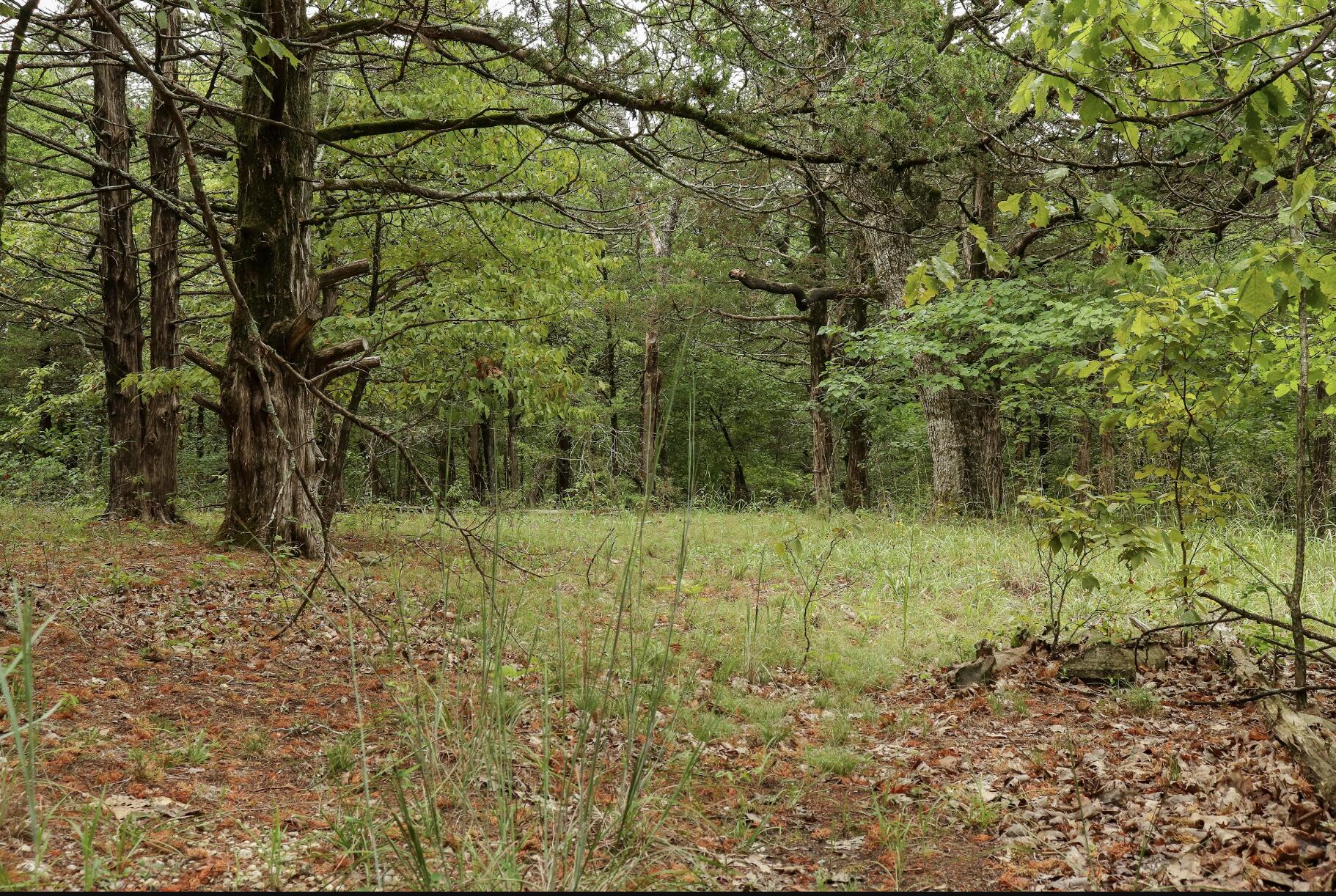 3394 Chadwick Road Road Property Photo 29