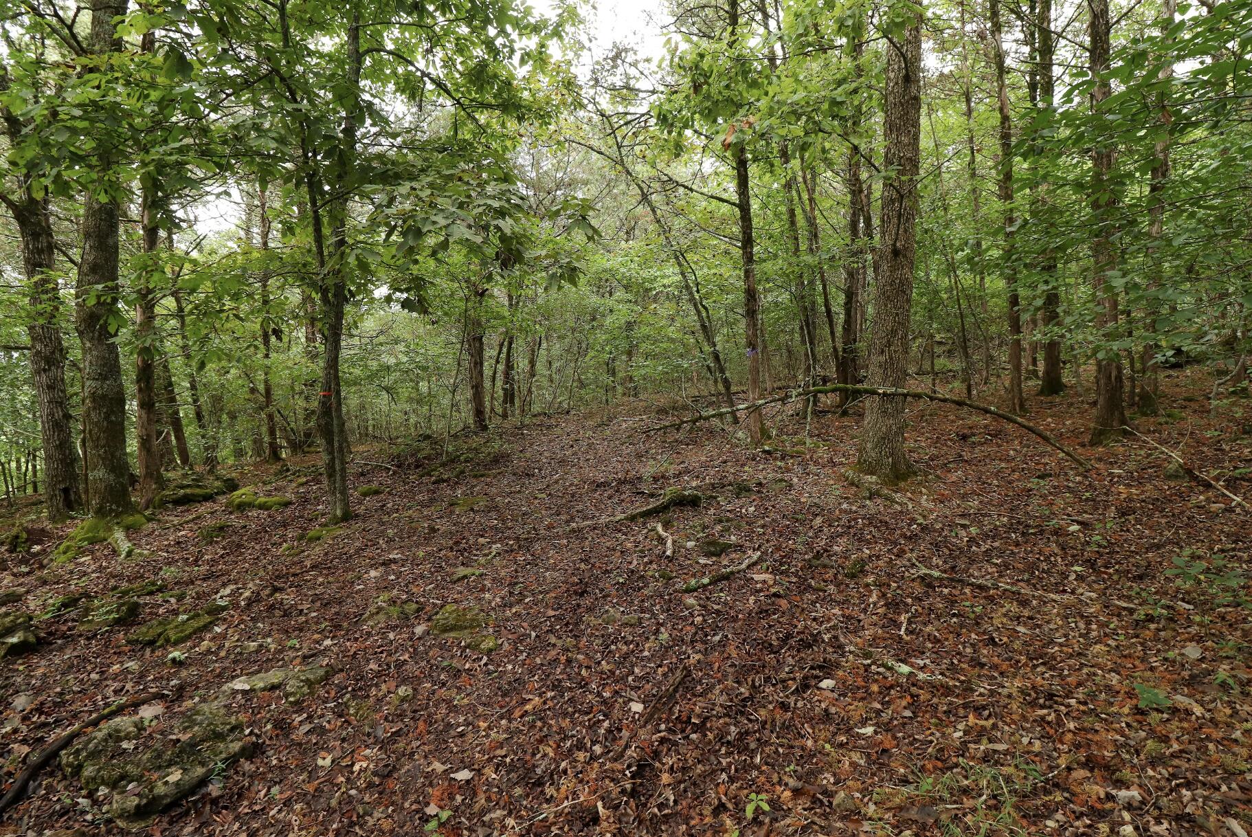 3394 Chadwick Road Road Property Photo 39