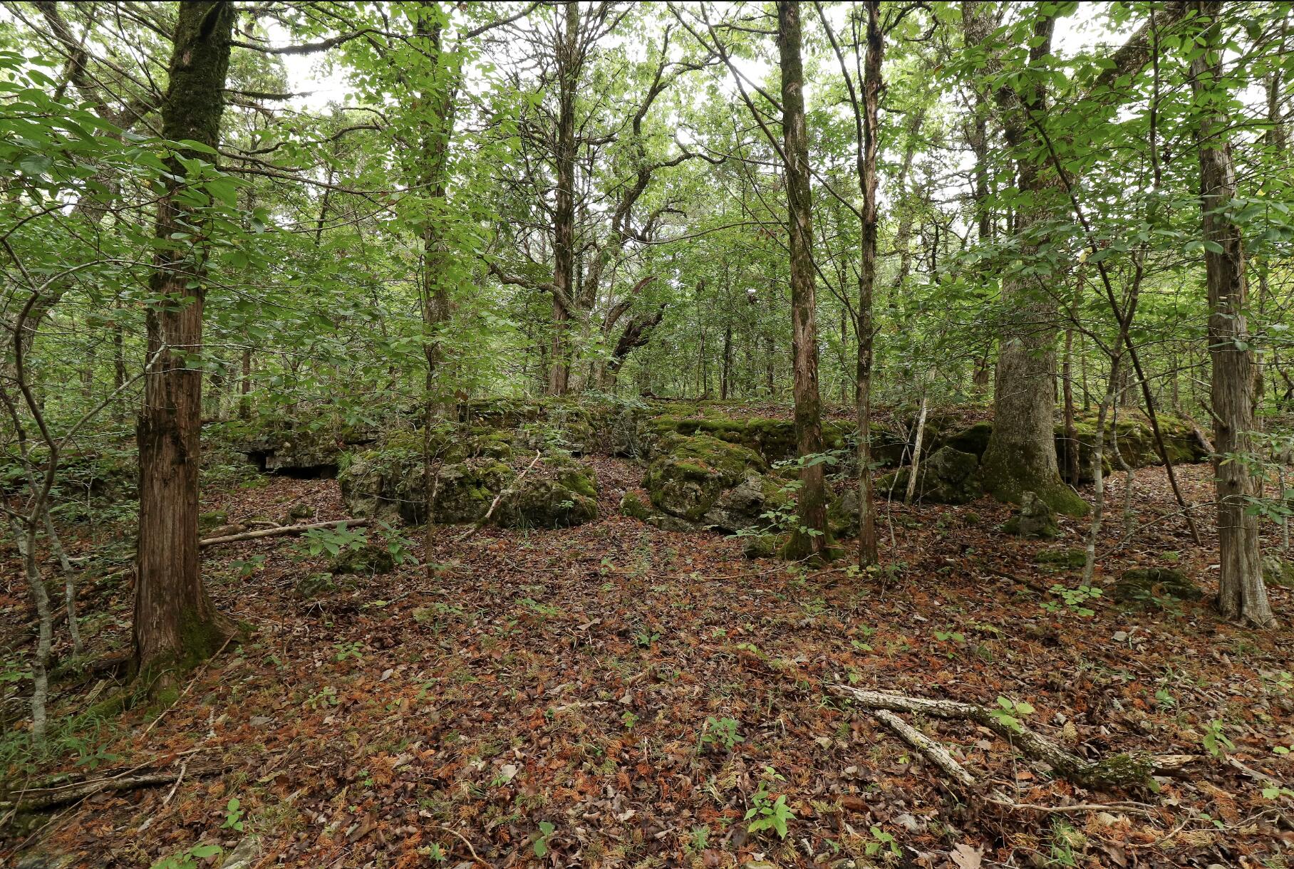3394 Chadwick Road Road Property Photo 40