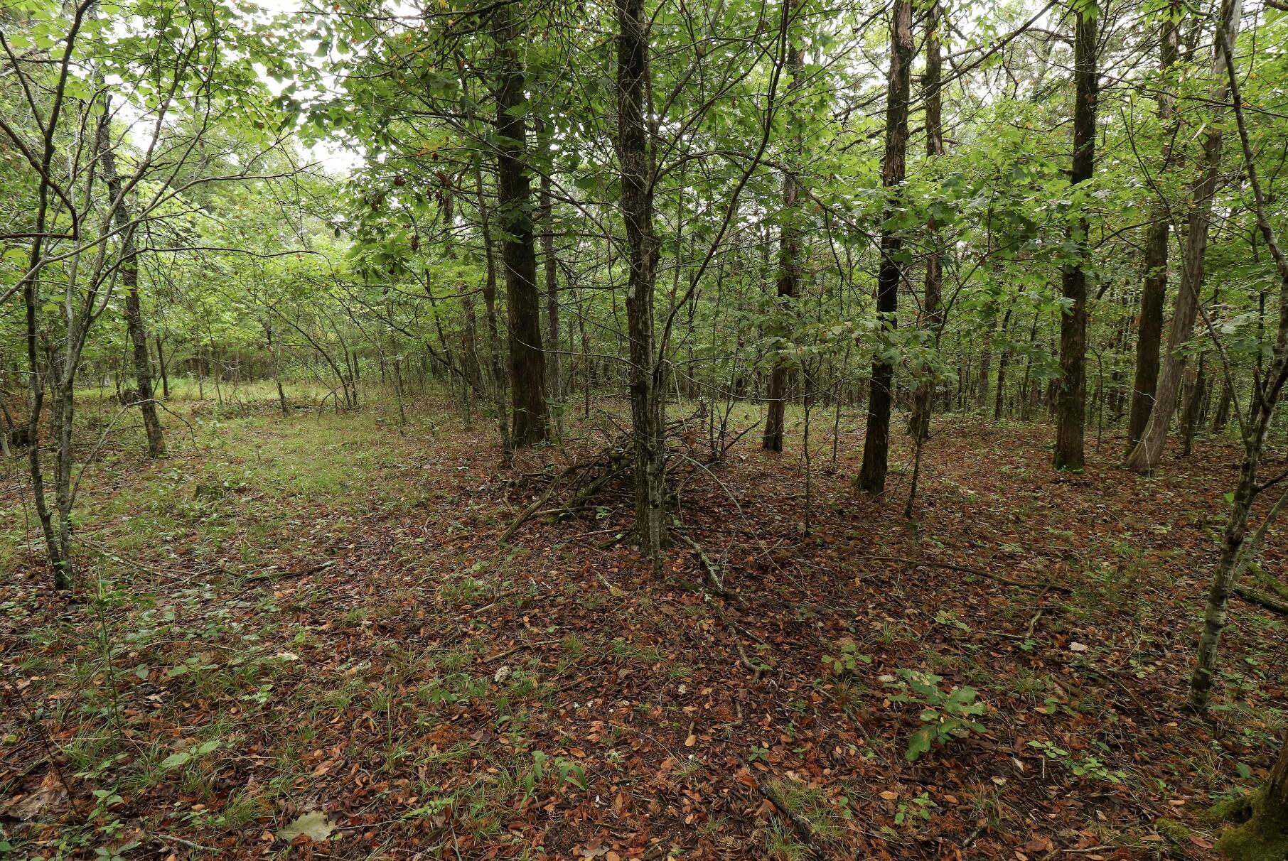 3394 Chadwick Road Road Property Photo 41