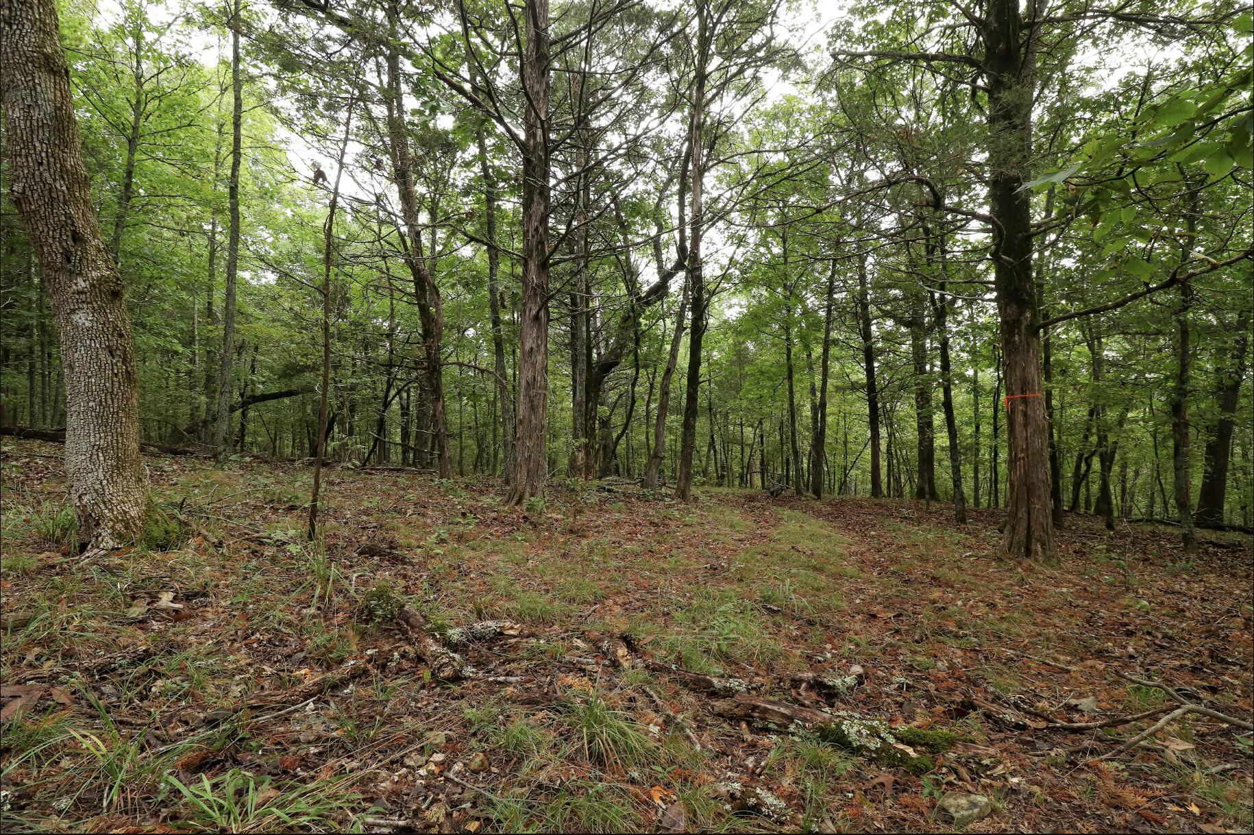 3394 Chadwick Road Road Property Photo 42