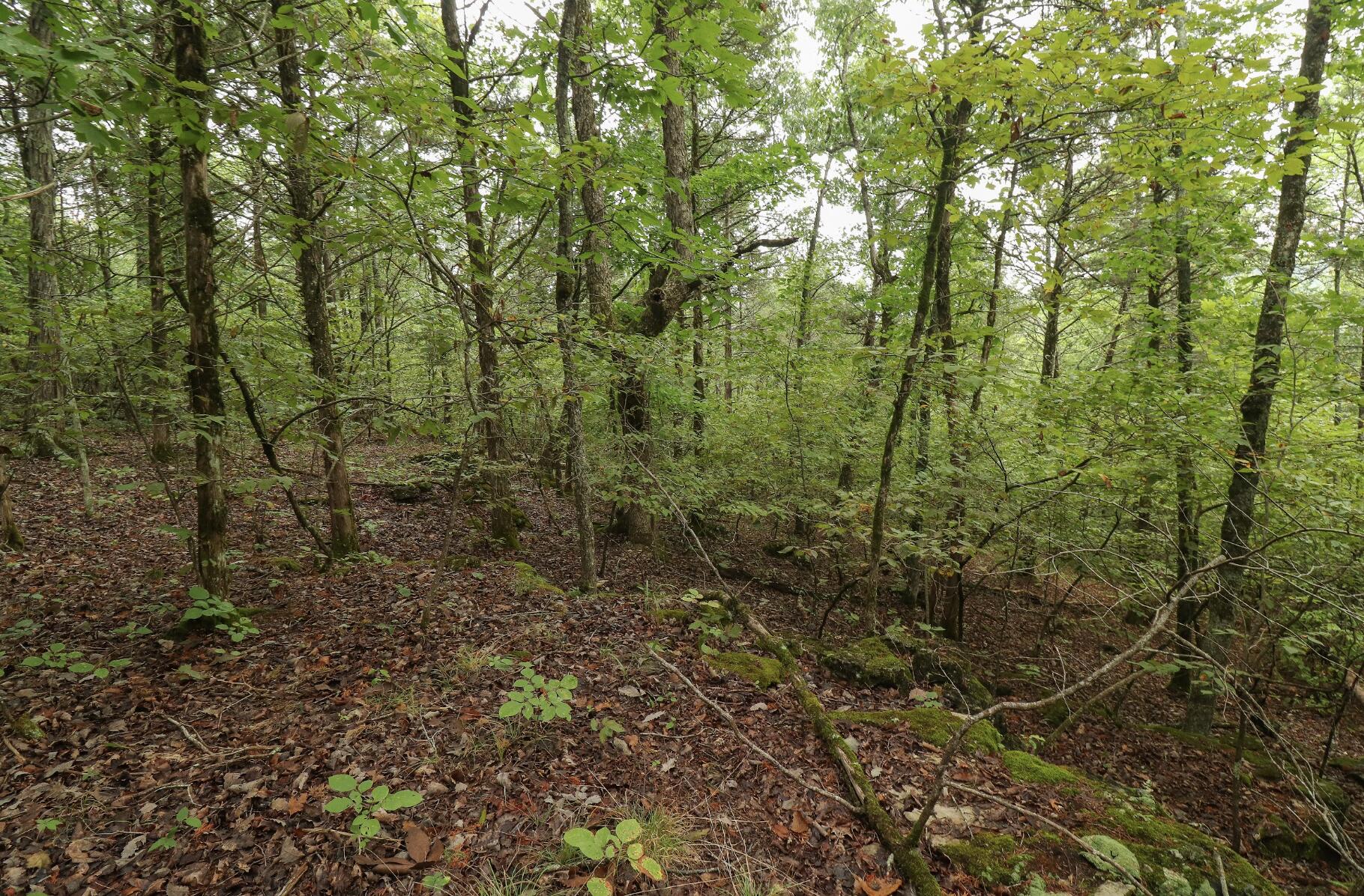 3394 Chadwick Road Road Property Photo 43