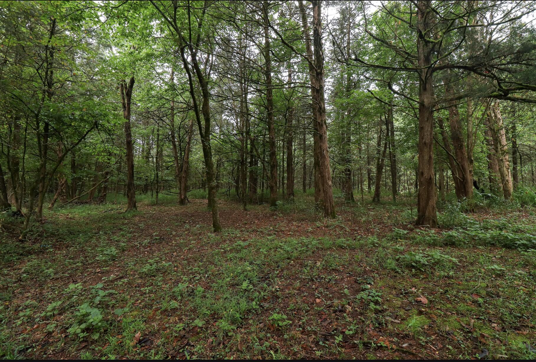 3394 Chadwick Road Road Property Photo 44