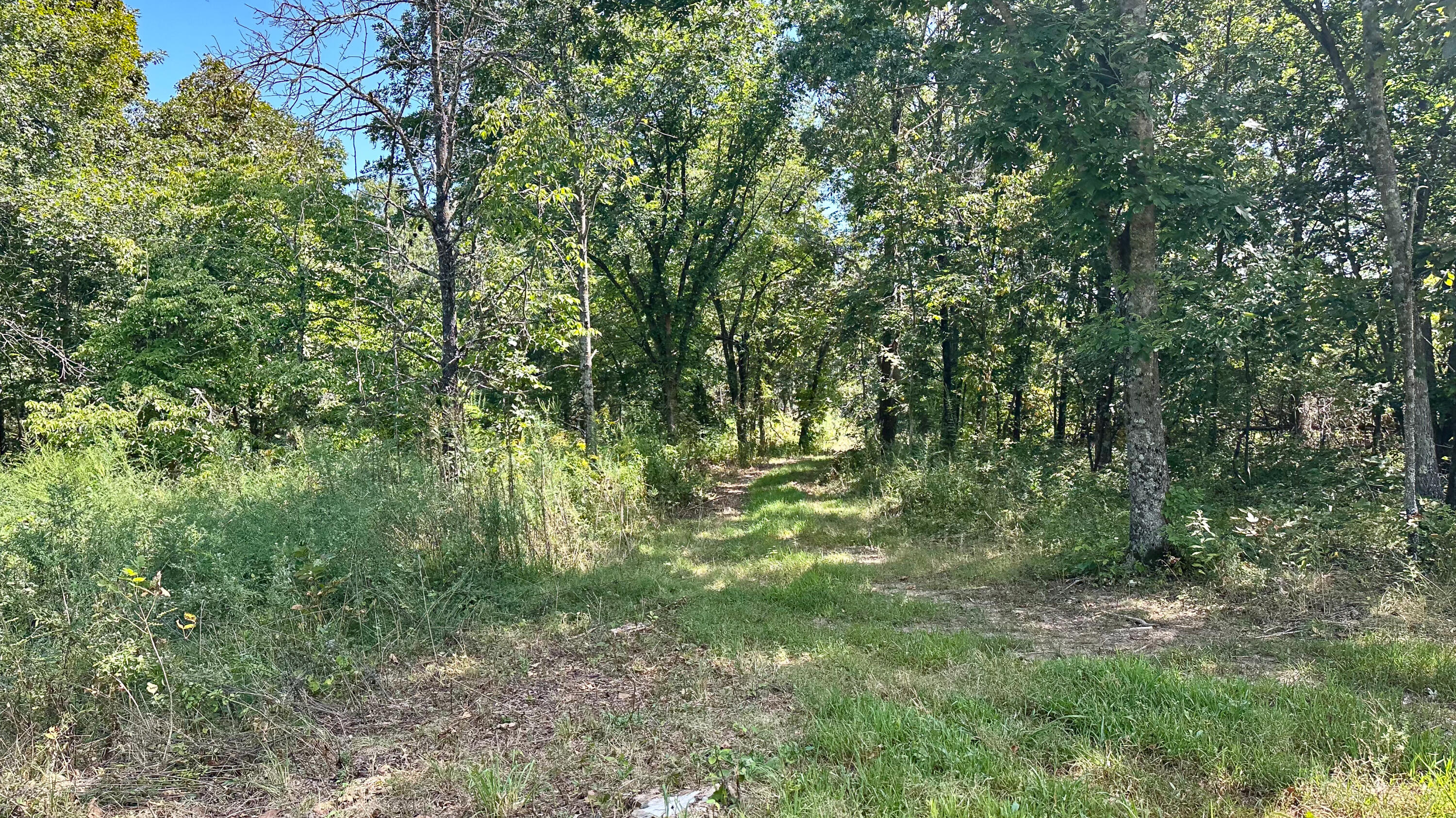 8380 Saint George Road Property Photo 23