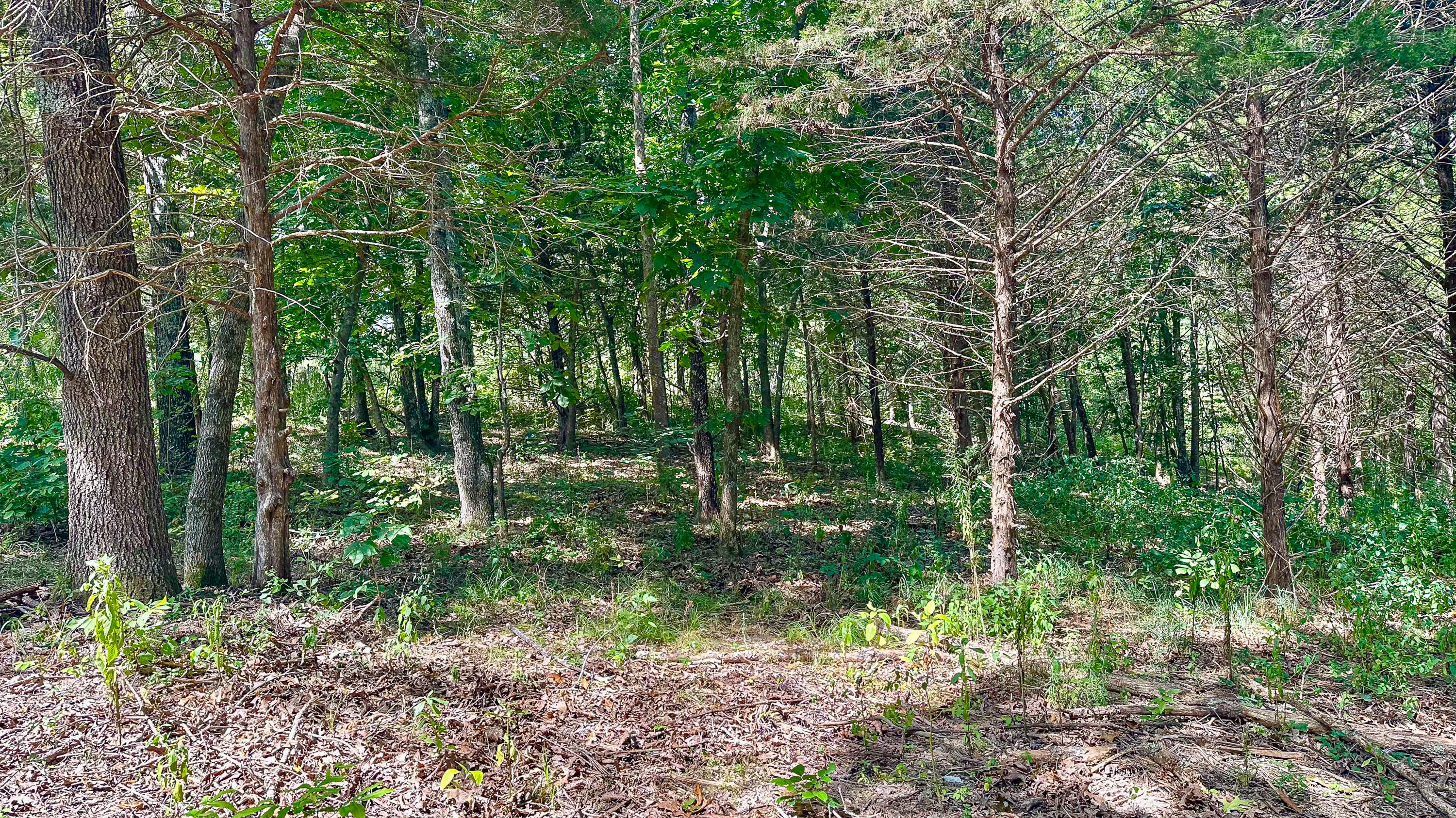 8380 Saint George Road Property Photo 25