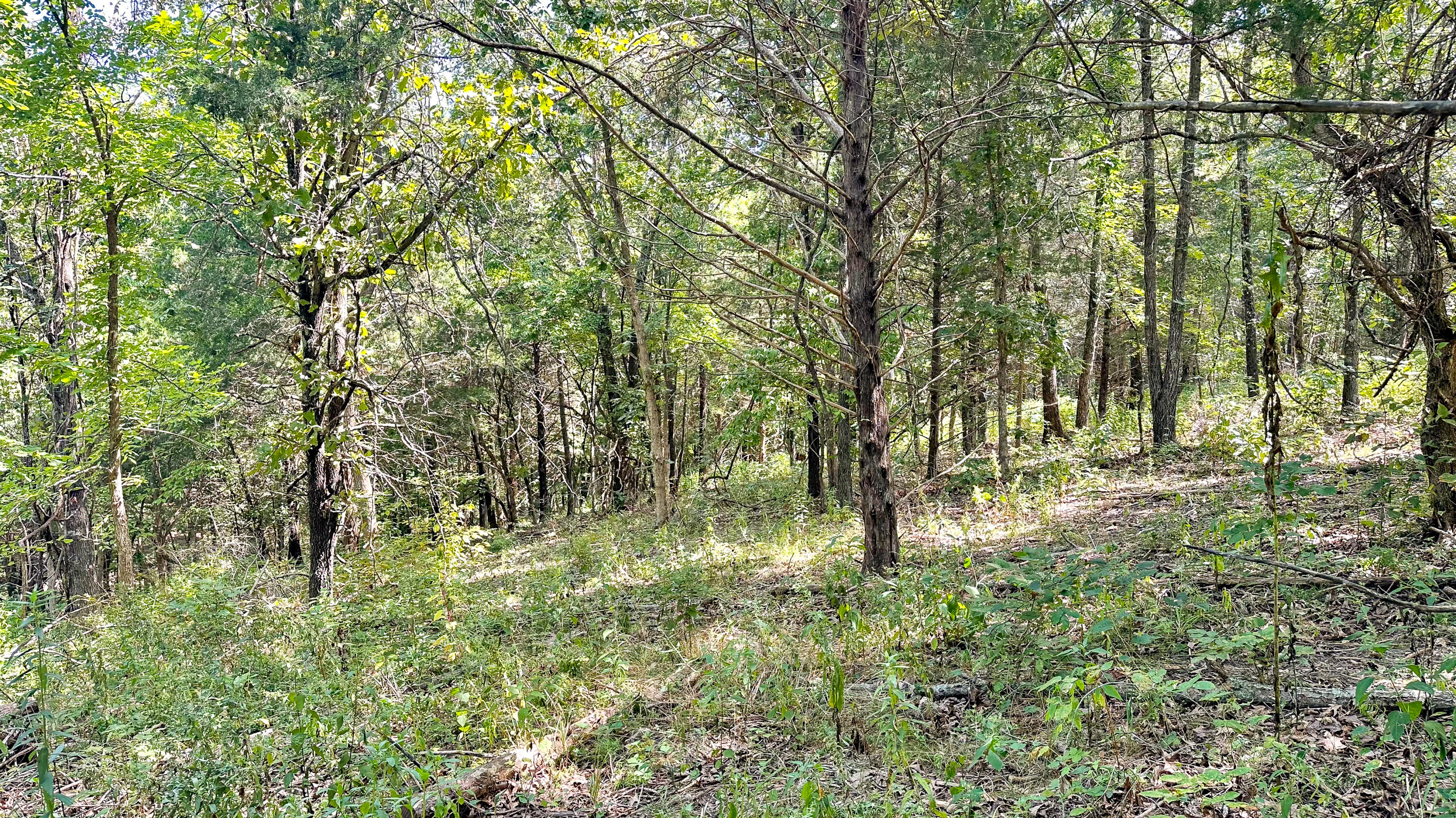 8380 Saint George Road Property Photo 26
