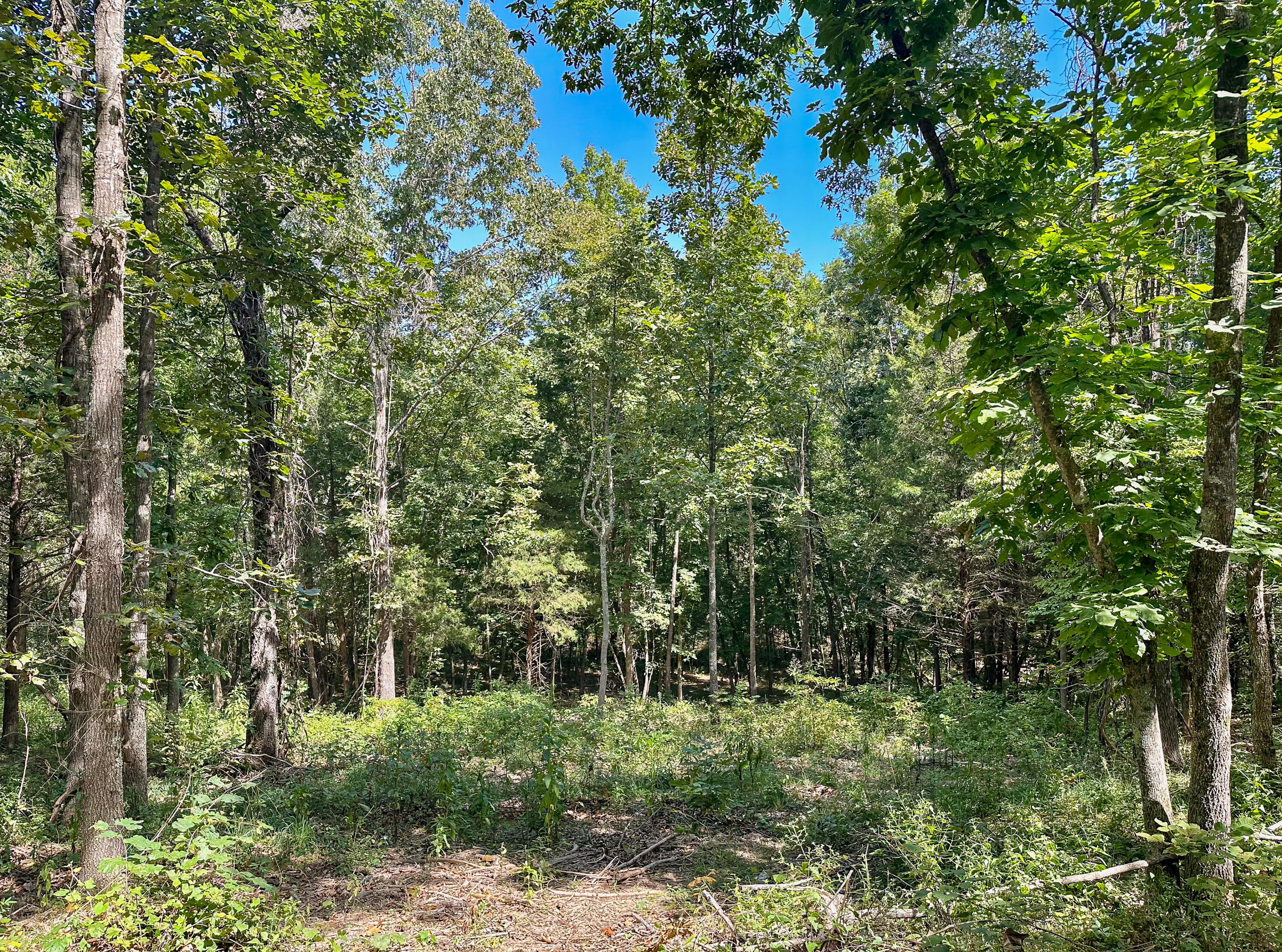 8380 Saint George Road Property Photo 27