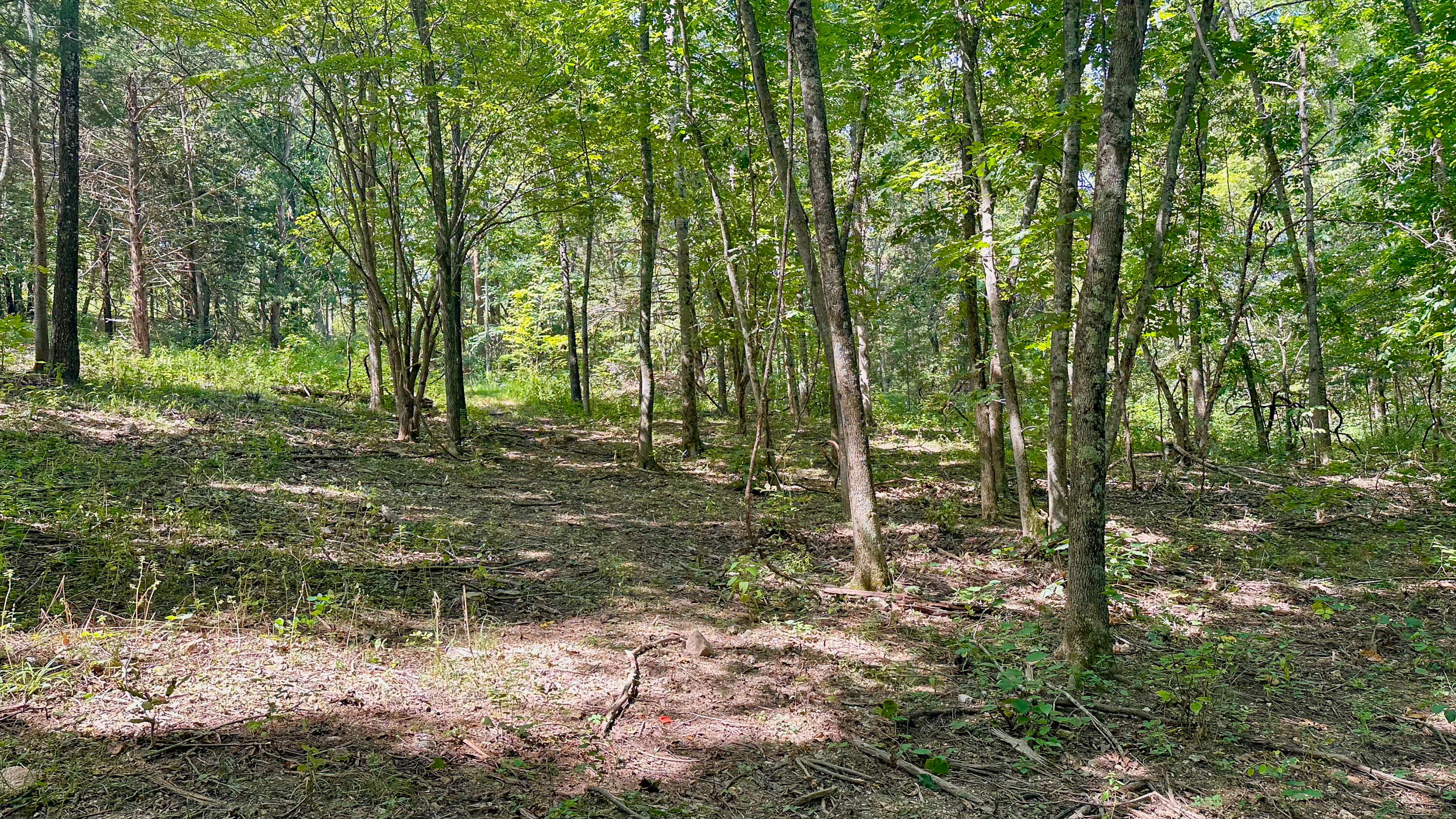 8380 Saint George Road Property Photo 28