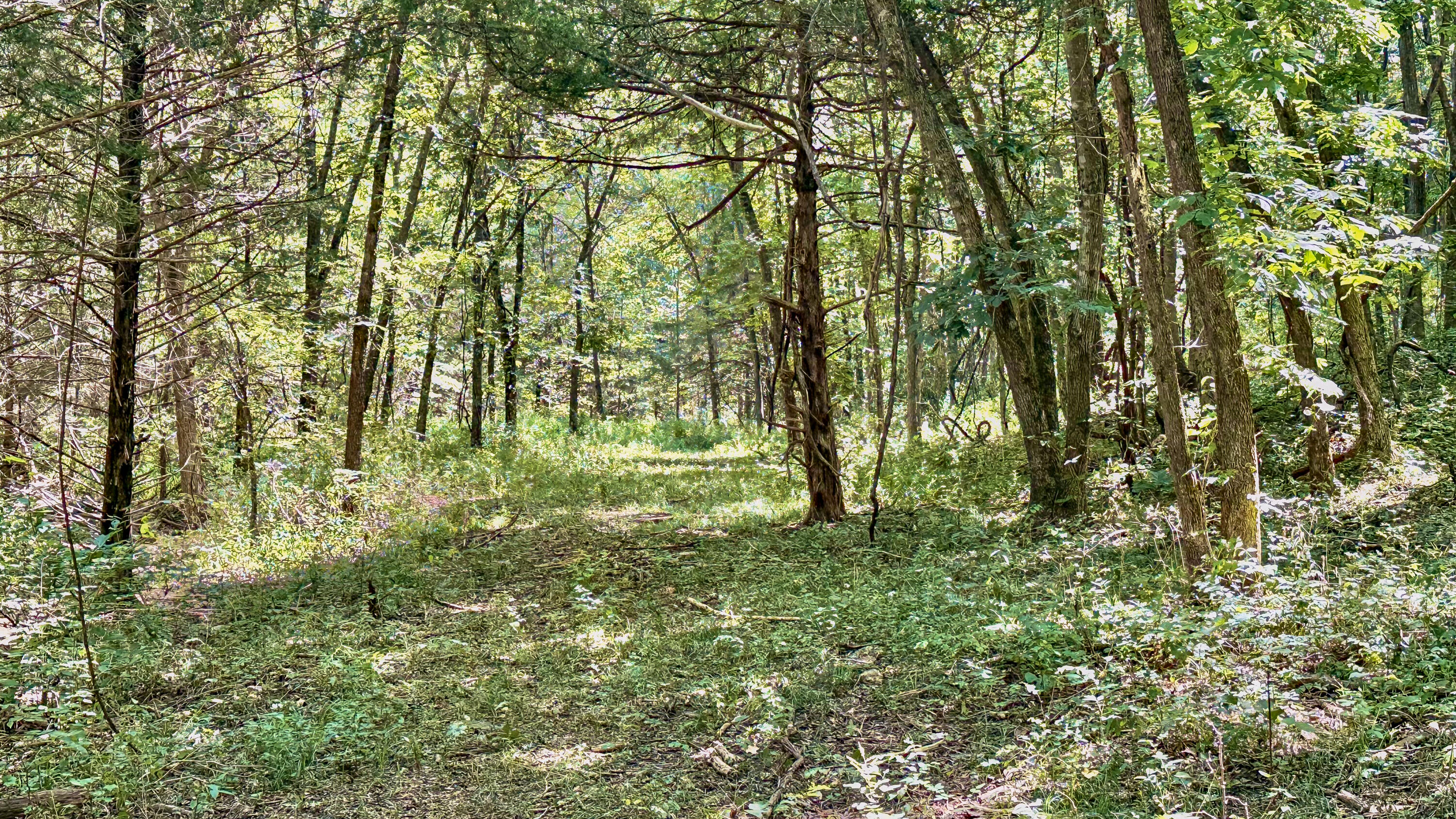 8380 Saint George Road Property Photo 32