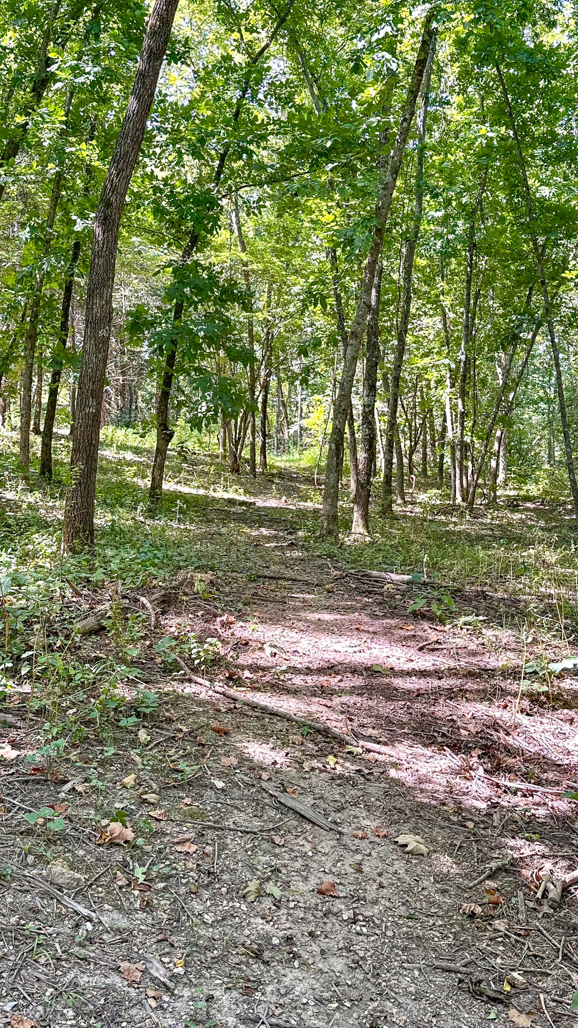 8380 Saint George Road Property Photo 34