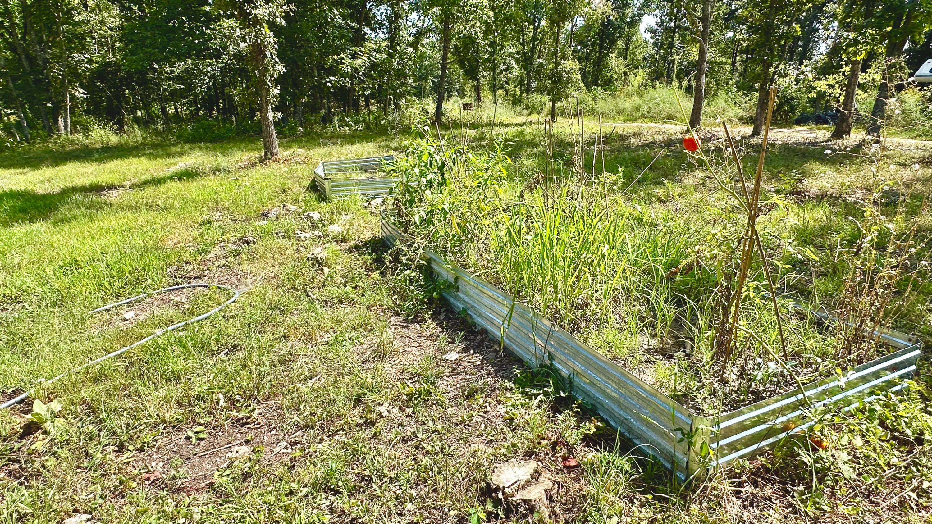 8380 Saint George Road Property Photo 43