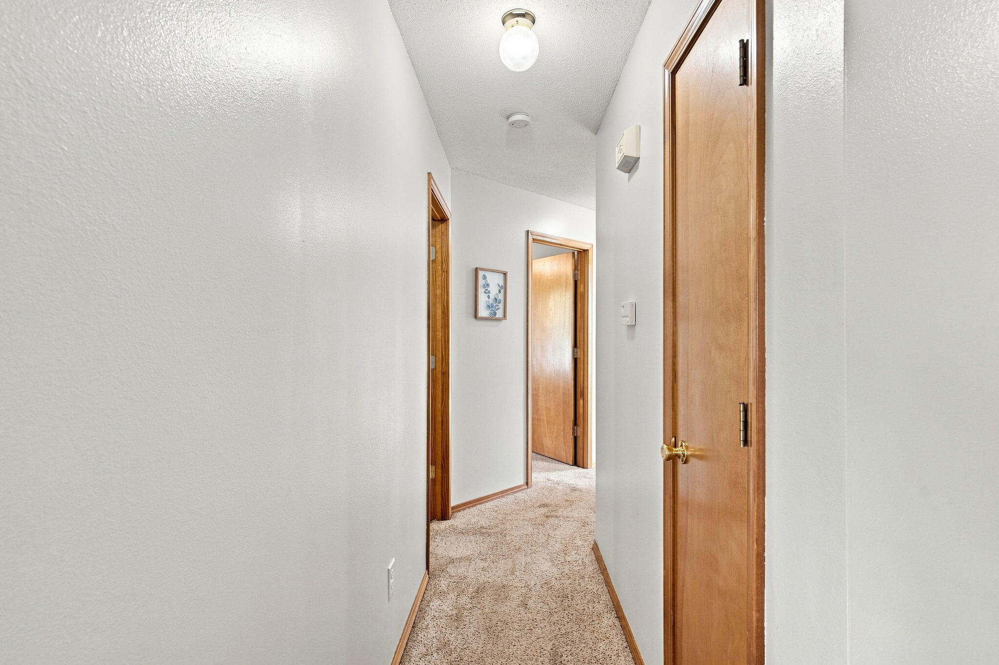 701 Darin Lane Property Photo 14