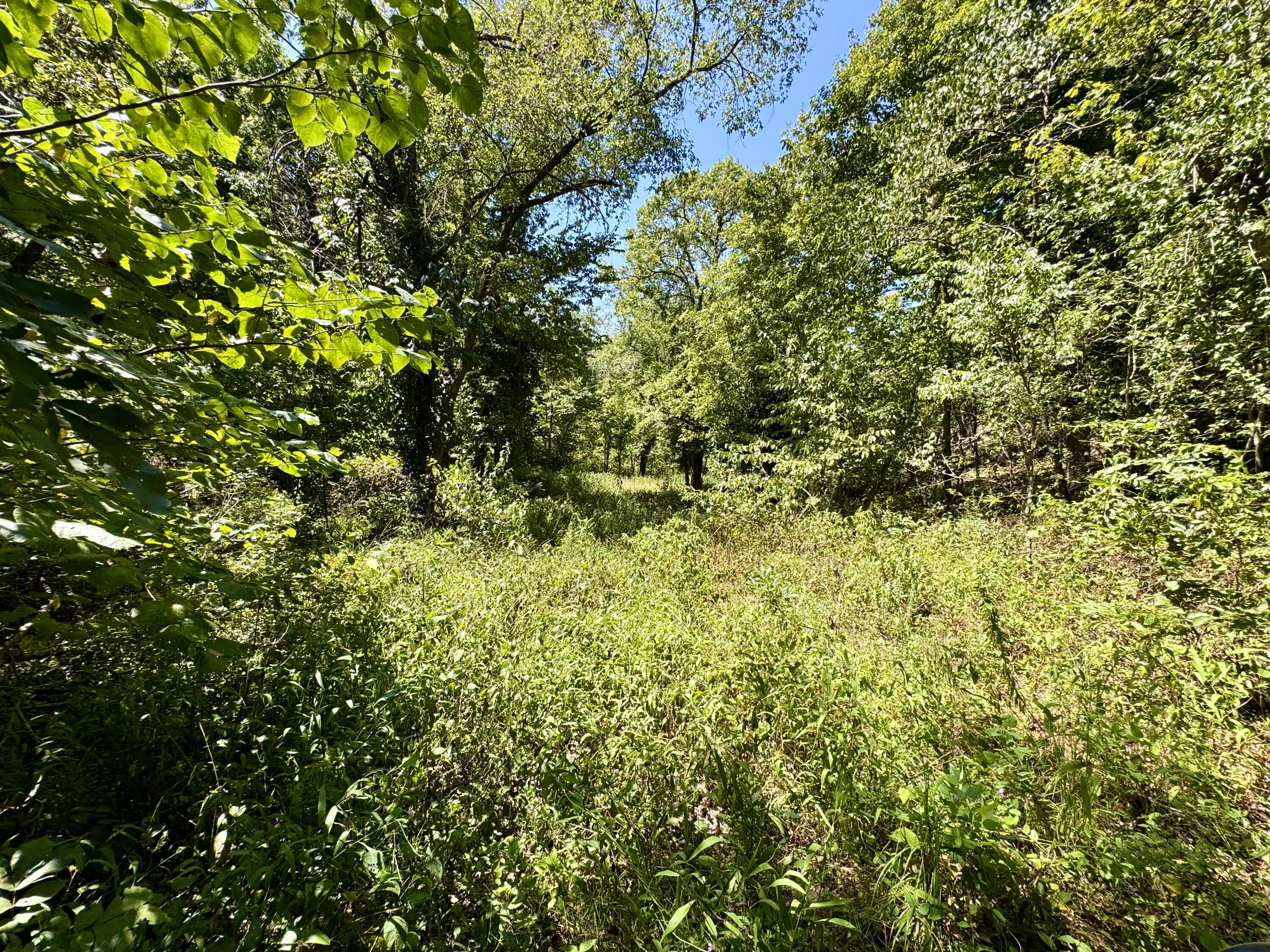 2099 Allison Road Property Photo 27