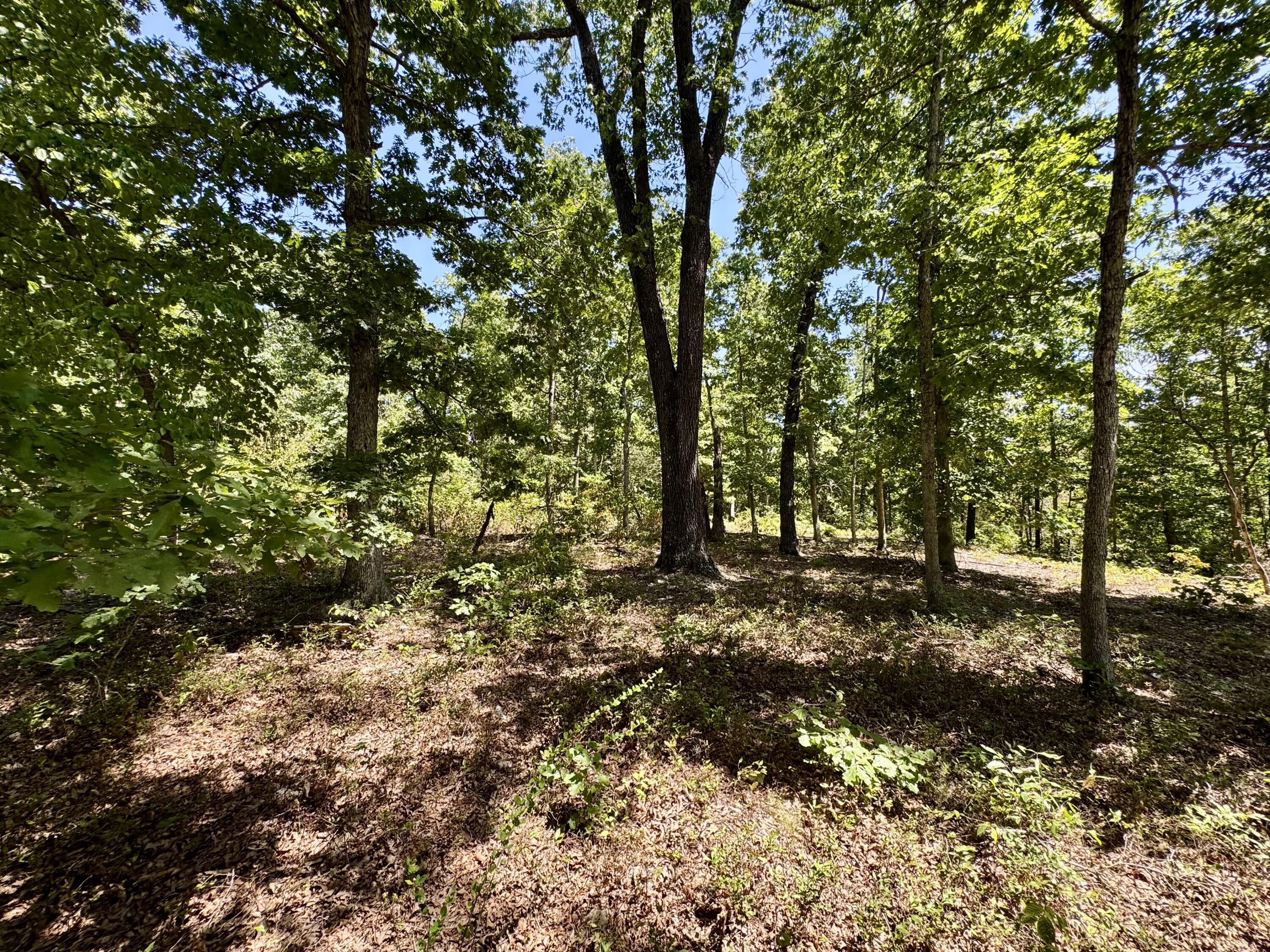 2099 Allison Road Property Photo 28