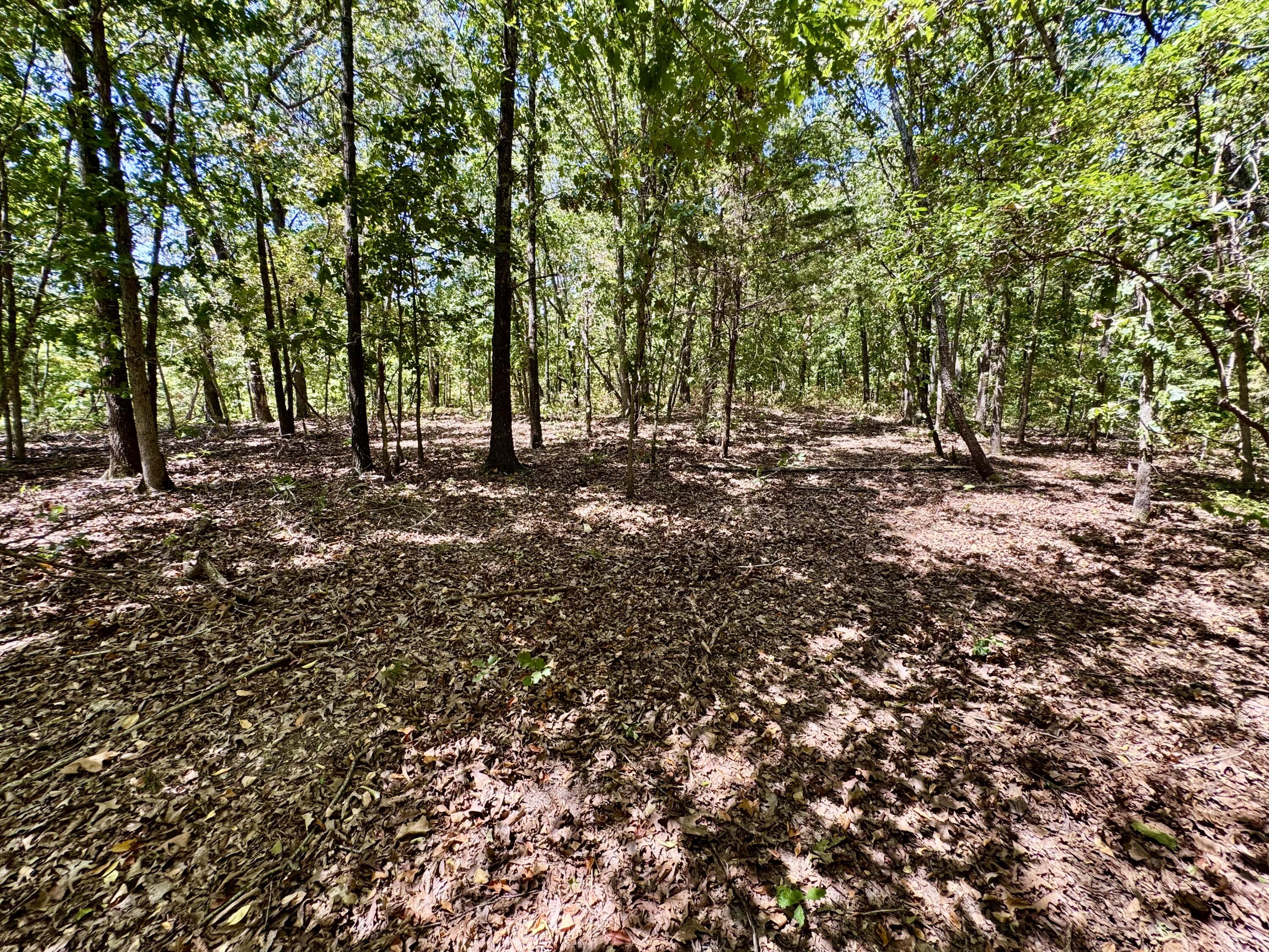 2099 Allison Road Property Photo 29