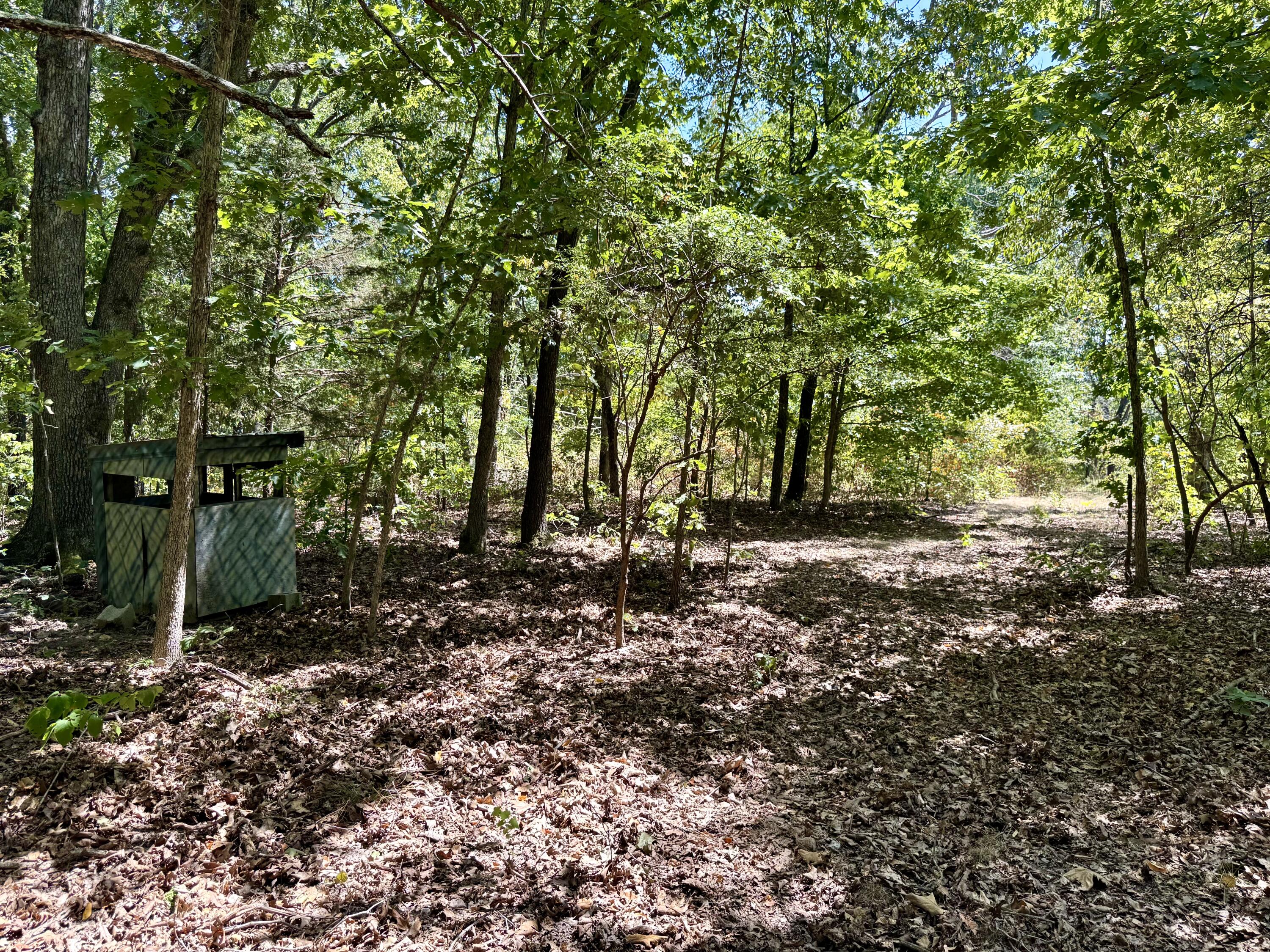 2099 Allison Road Property Photo 31