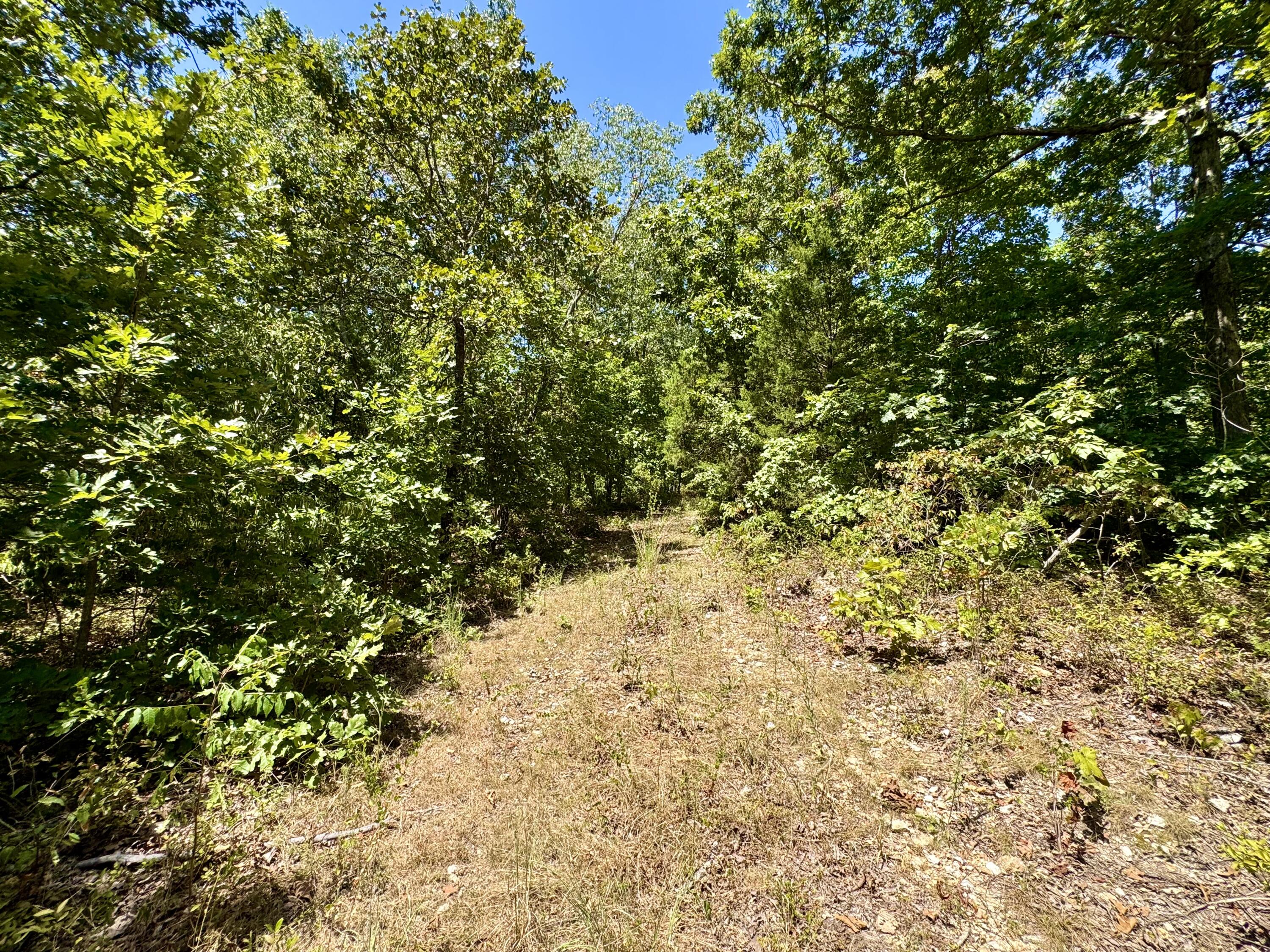 2099 Allison Road Property Photo 32