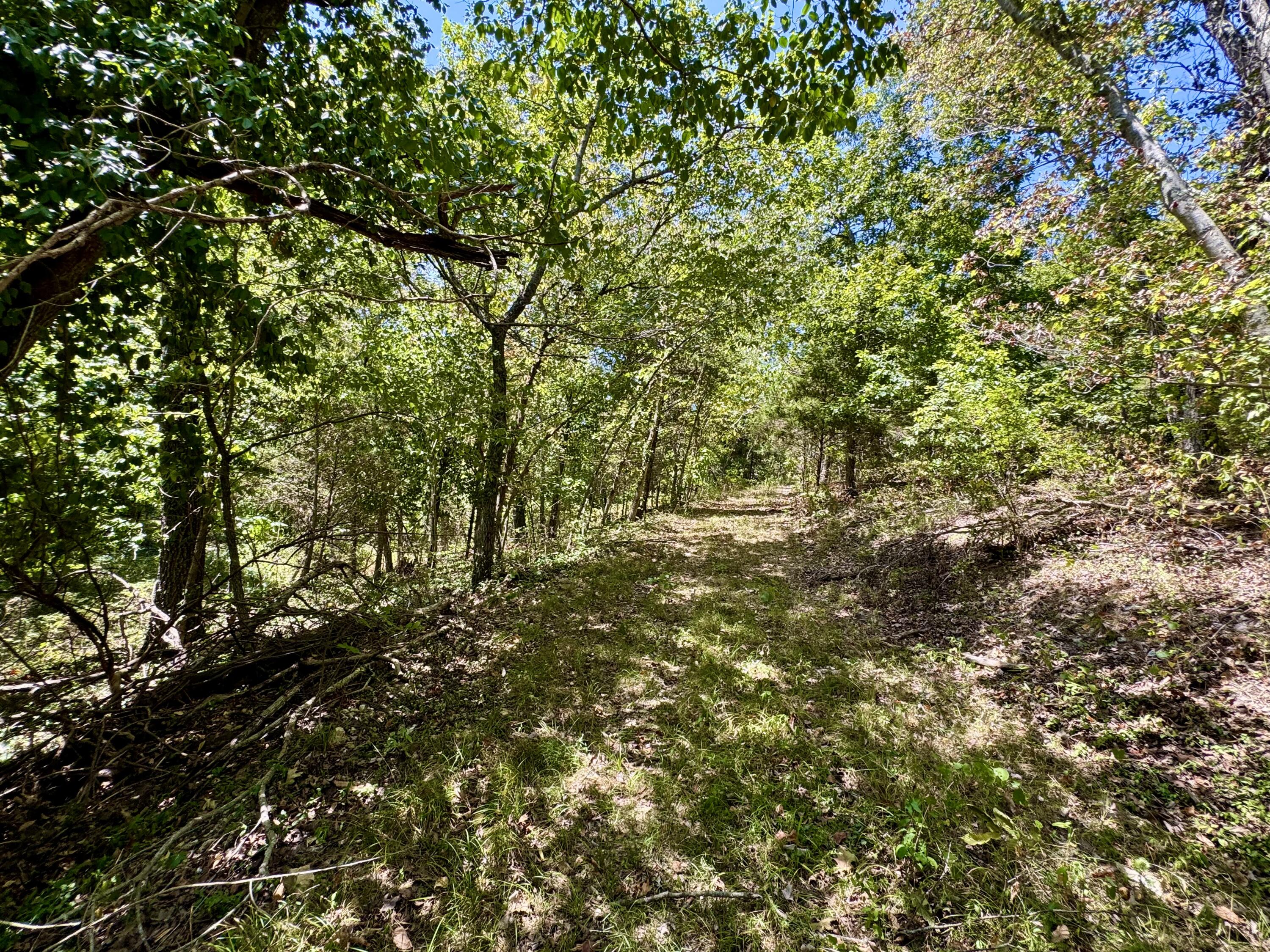 2099 Allison Road Property Photo 34