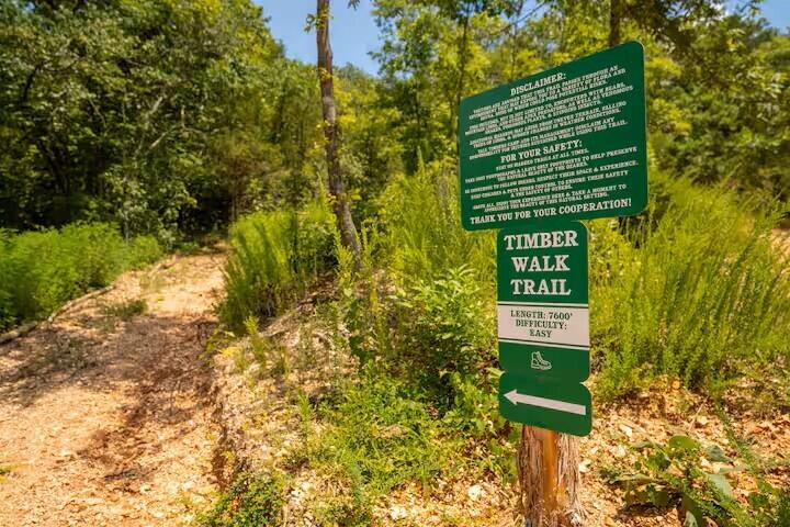 355 Mark Twain Drive Property Photo 62