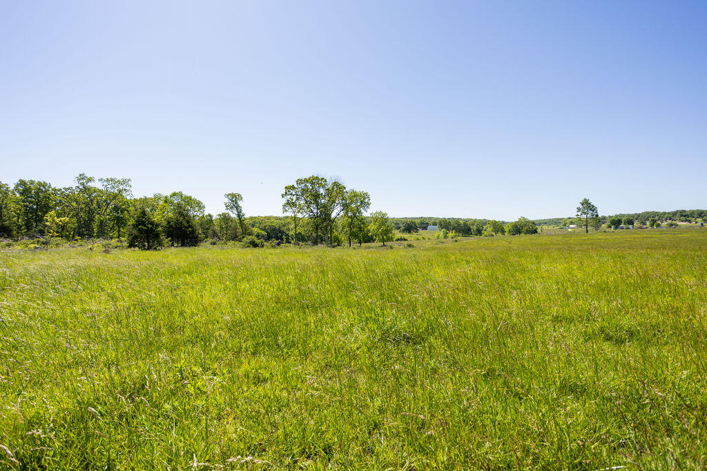 000 Highway B Tract A Property Photo 6