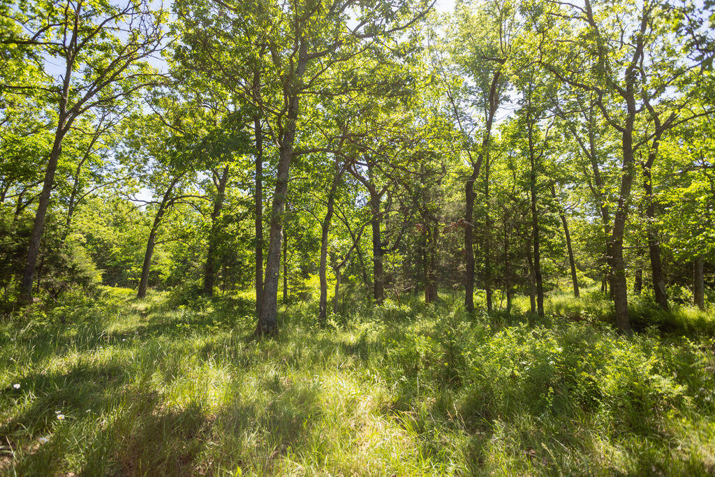 000 Highway B Tract A Property Photo 9