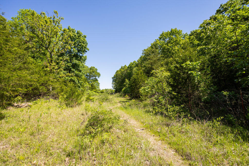 000 Highway B Tract A Property Photo 10
