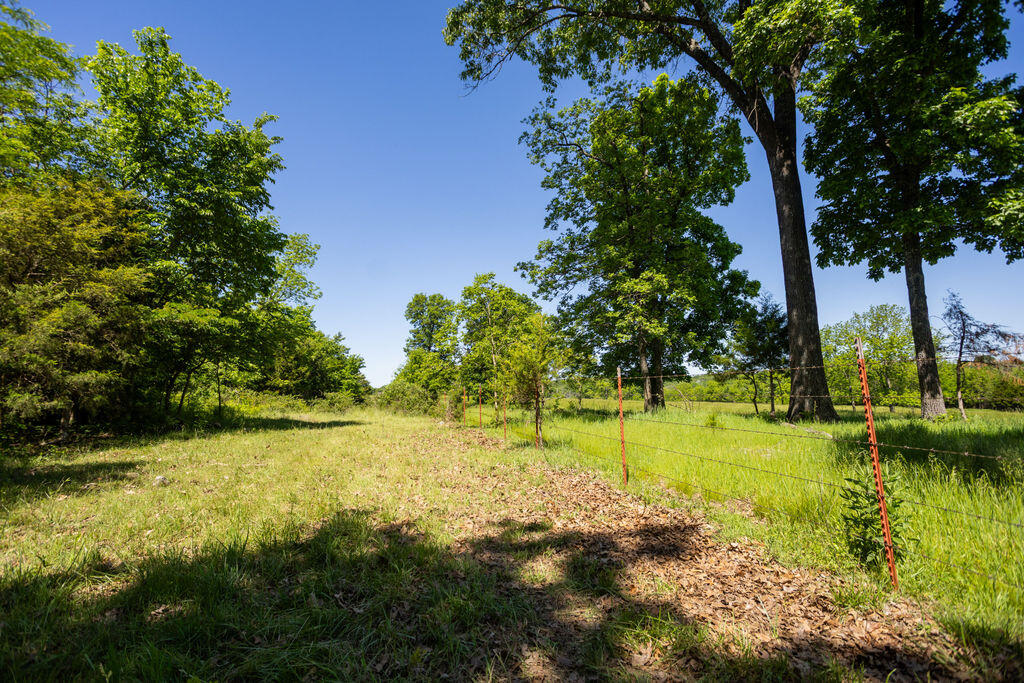 000 Highway B Tract A Property Photo 11