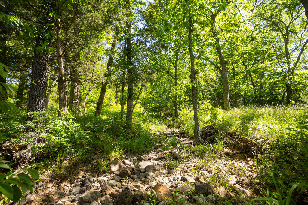 000 Highway B Tract A Property Photo 12