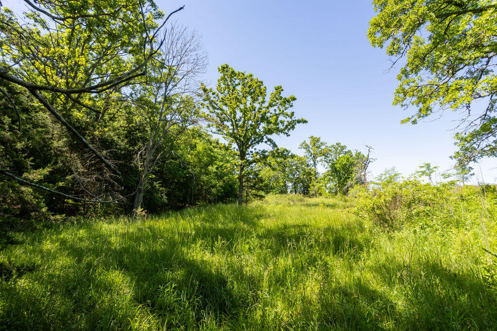 000 Highway B Tract A Property Photo 15