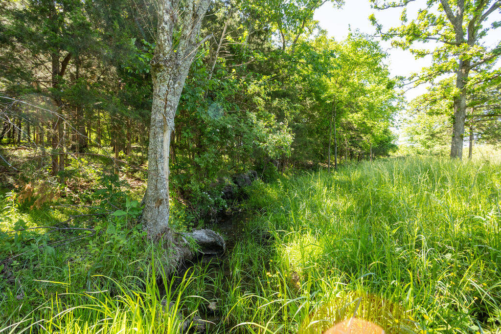 000 Highway B Tract A Property Photo 16