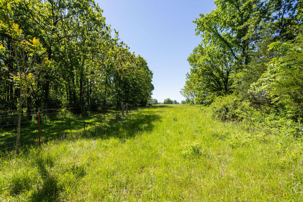 000 Highway B Tract A Property Photo 17