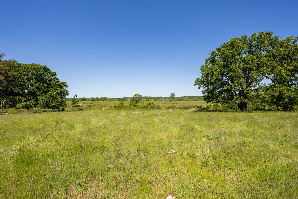 000 Highway B Tract A Property Photo 18