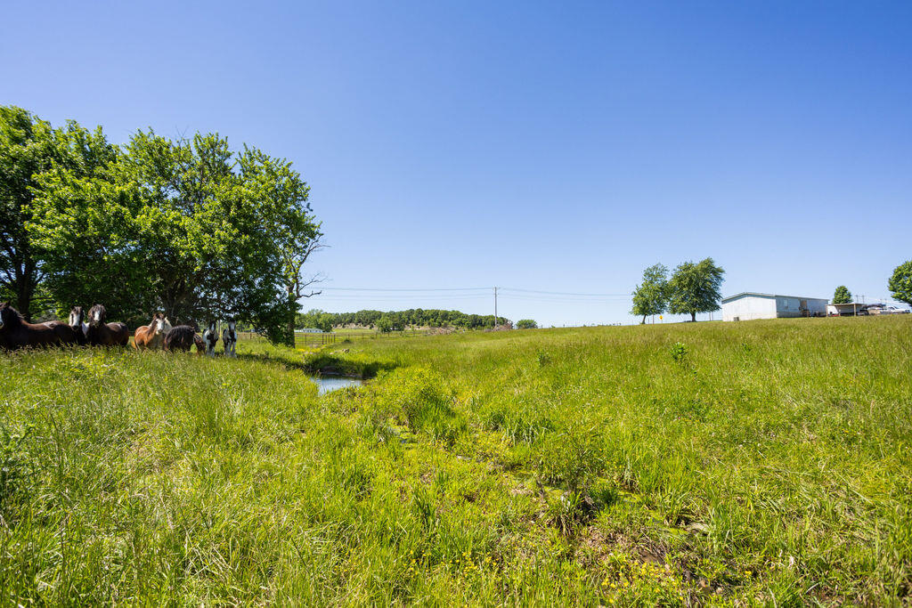 000 Highway B Tract A Property Photo 19
