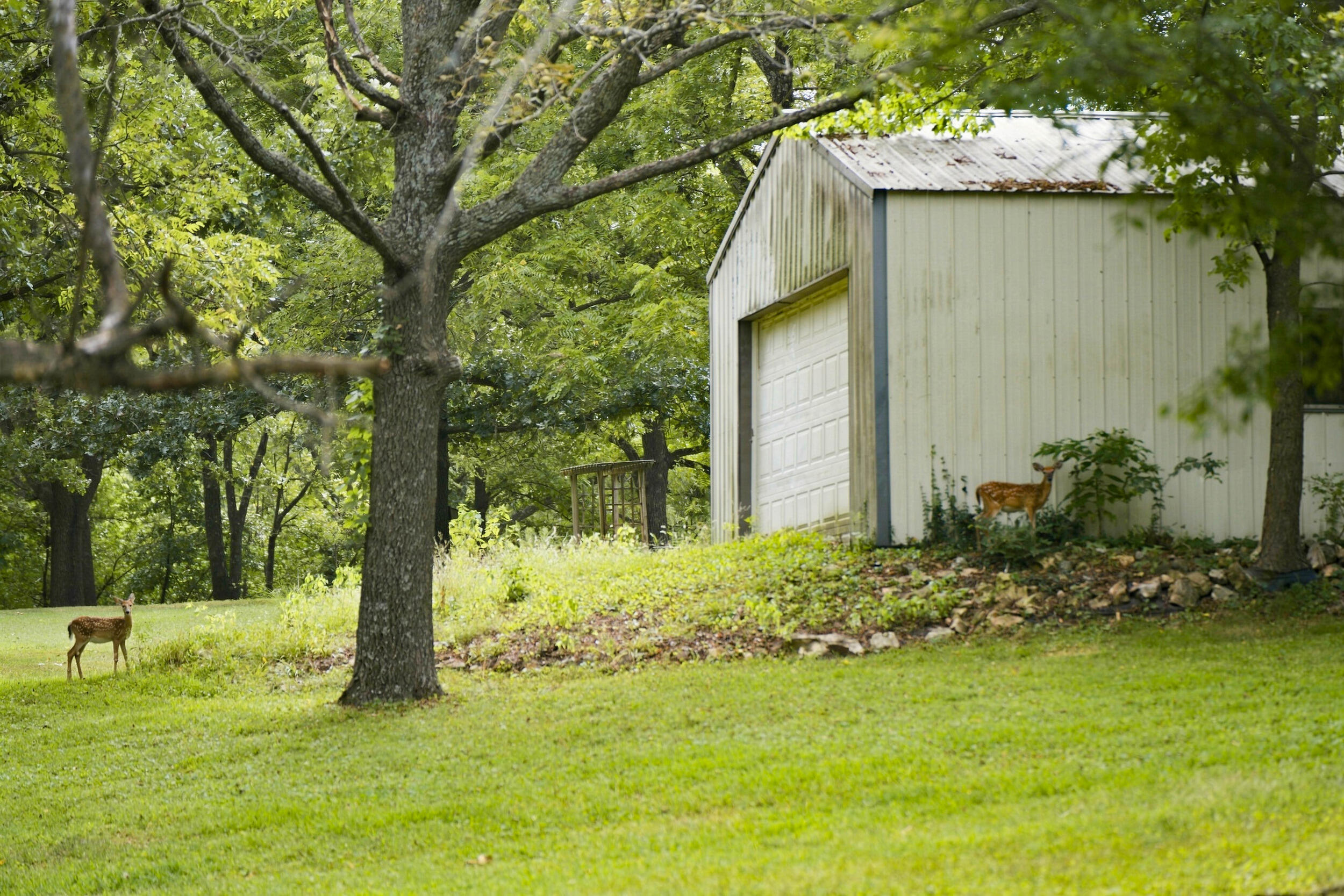 457 Nightcap Drive Property Photo 42