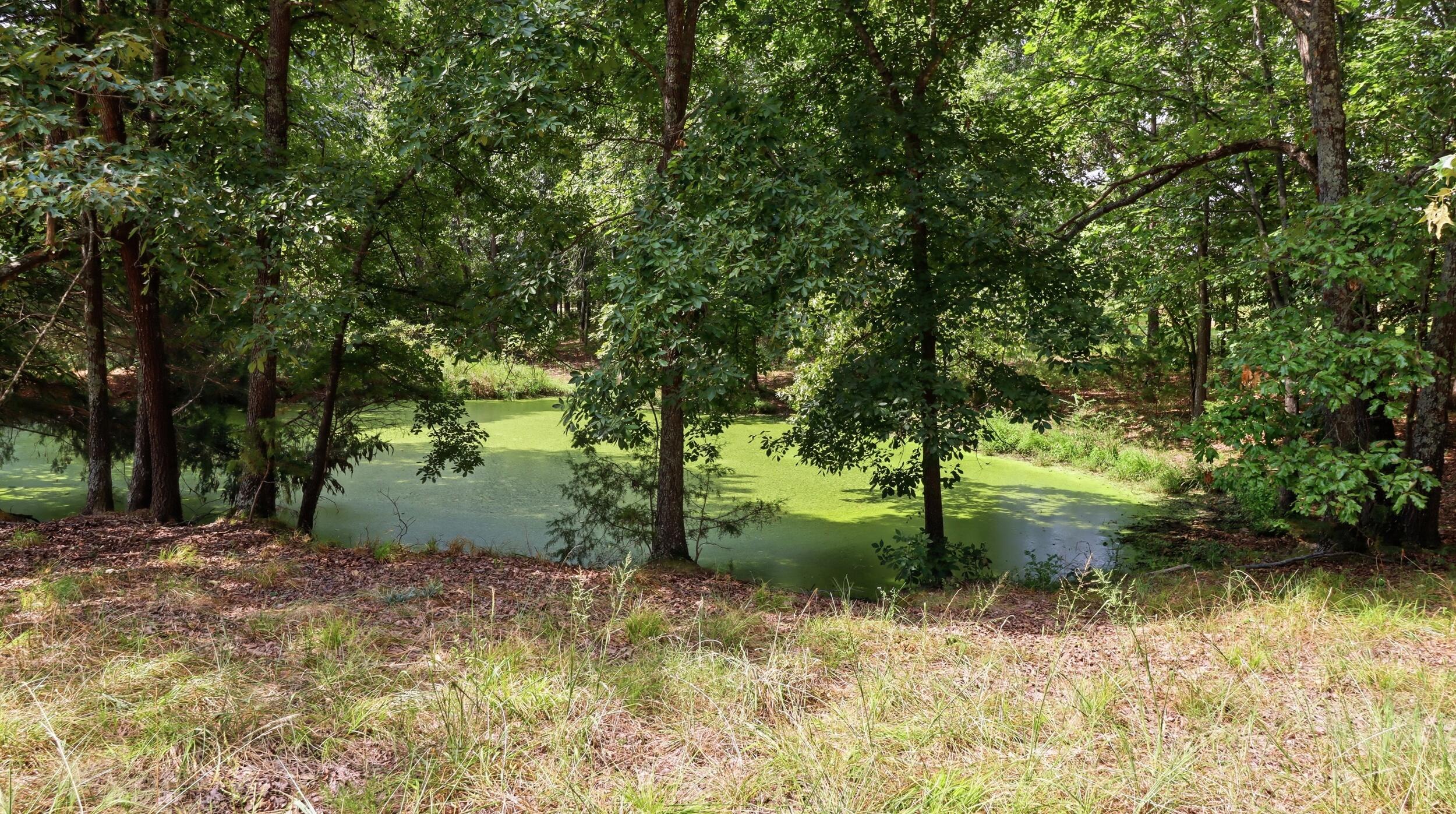 134 Mcintire Road Property Photo 7