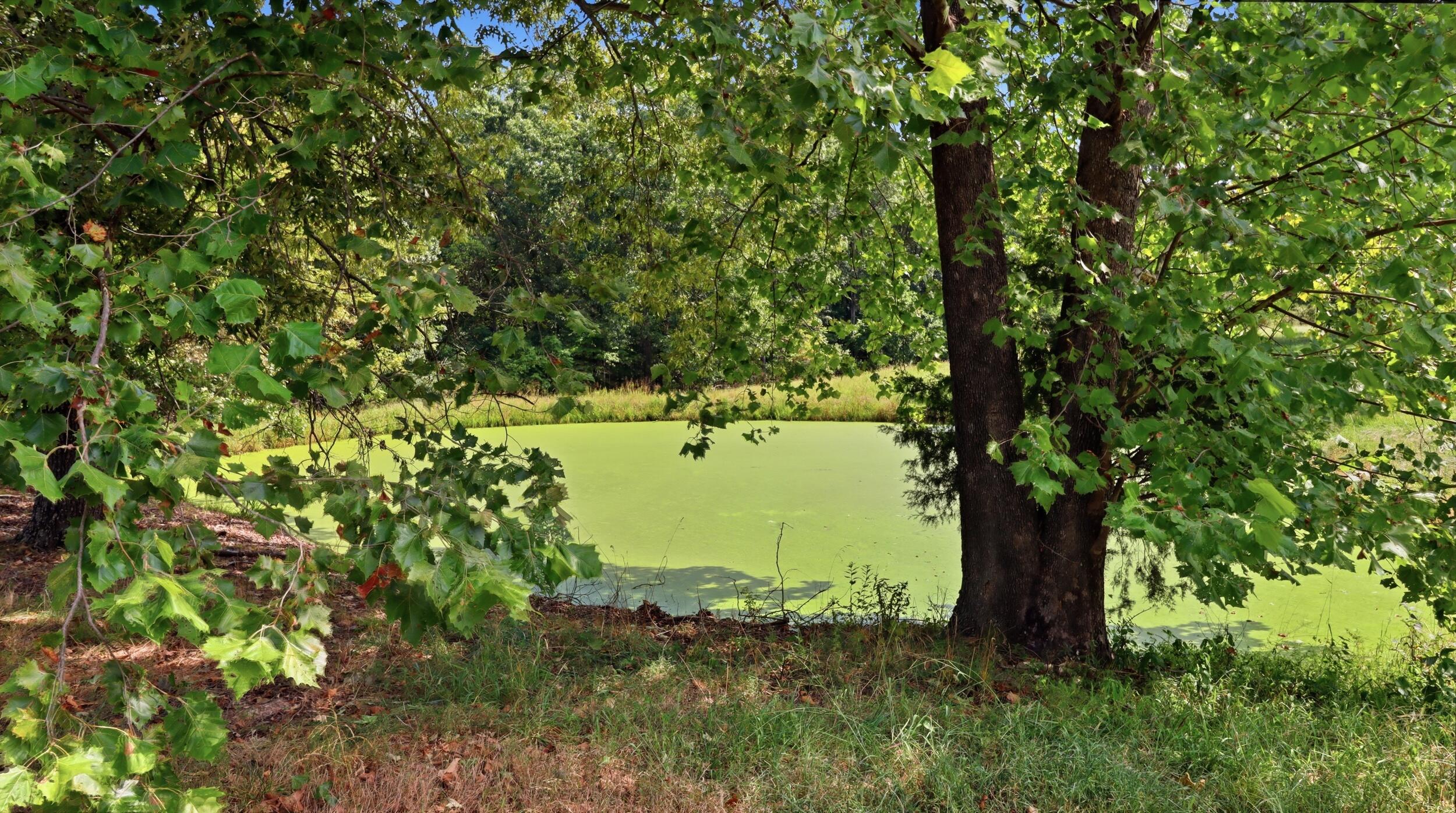 134 Mcintire Road Property Photo 26