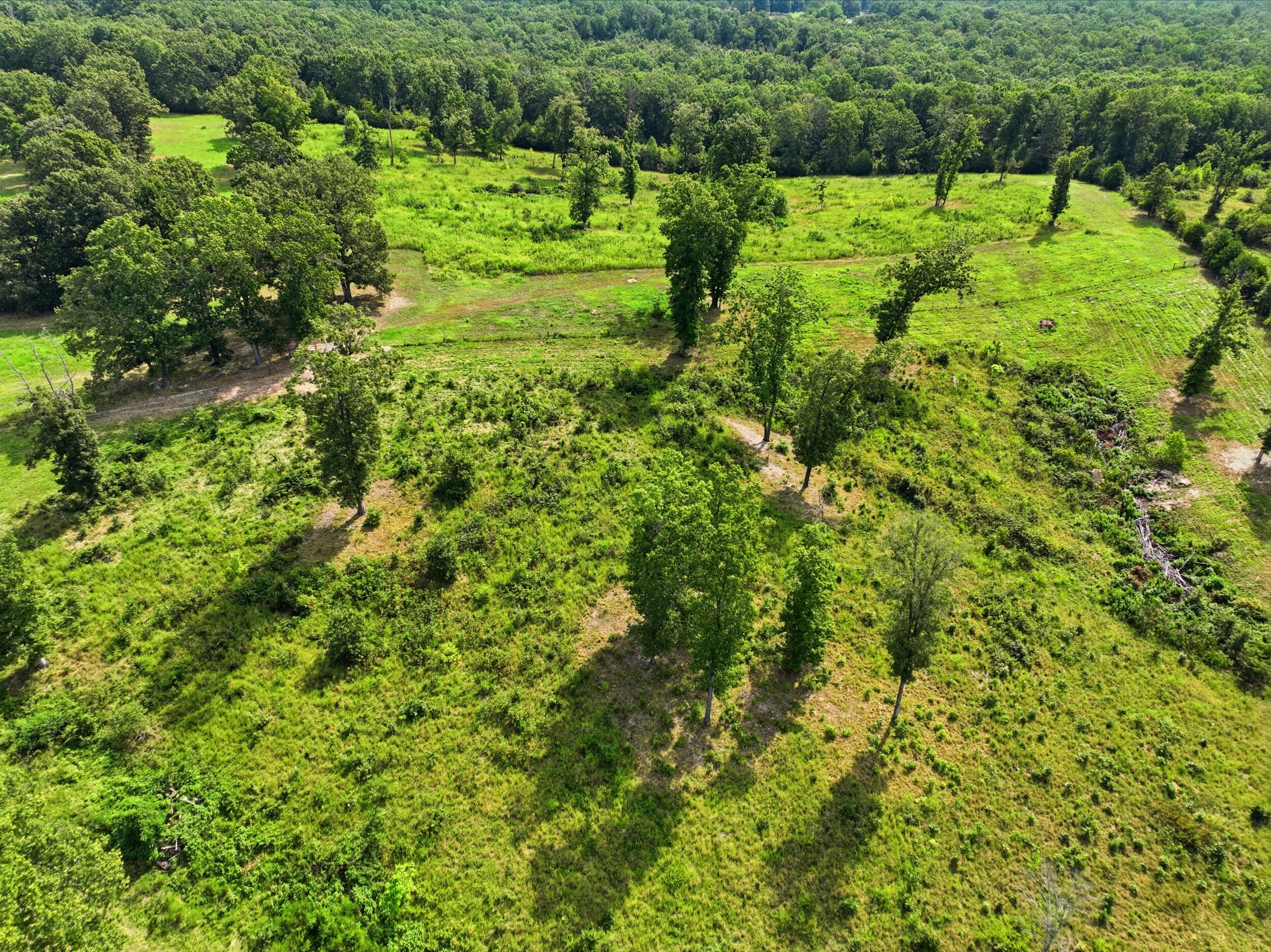 134 Mcintire Road Property Photo 31