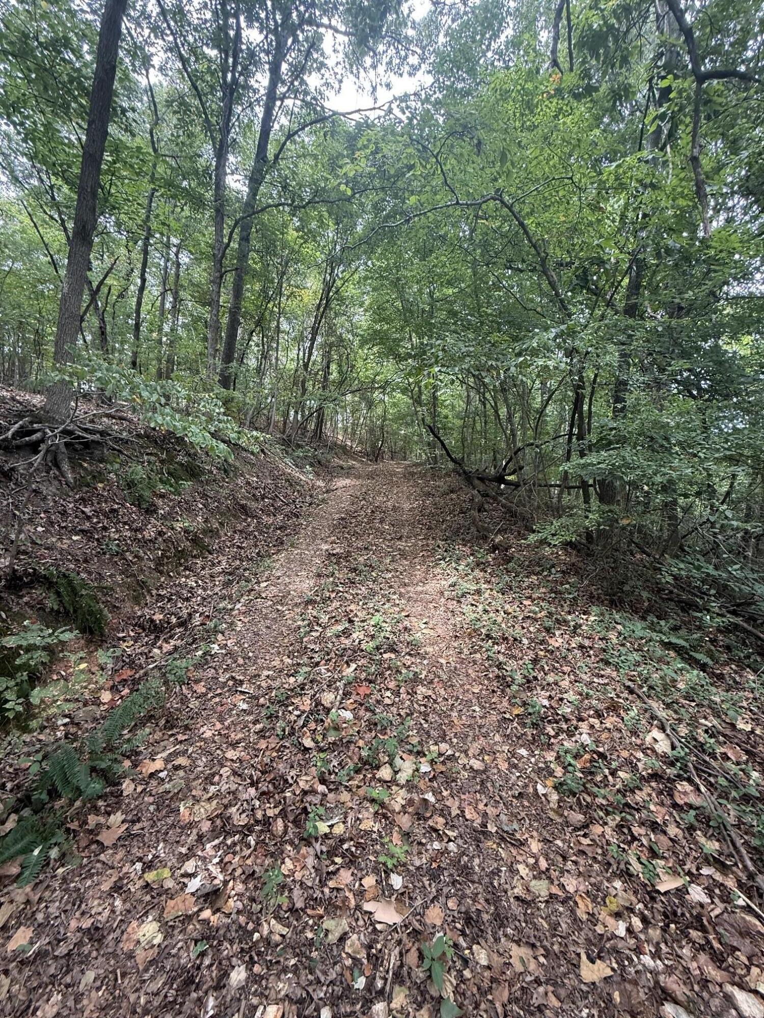 1435 Route Nn Property Photo 16