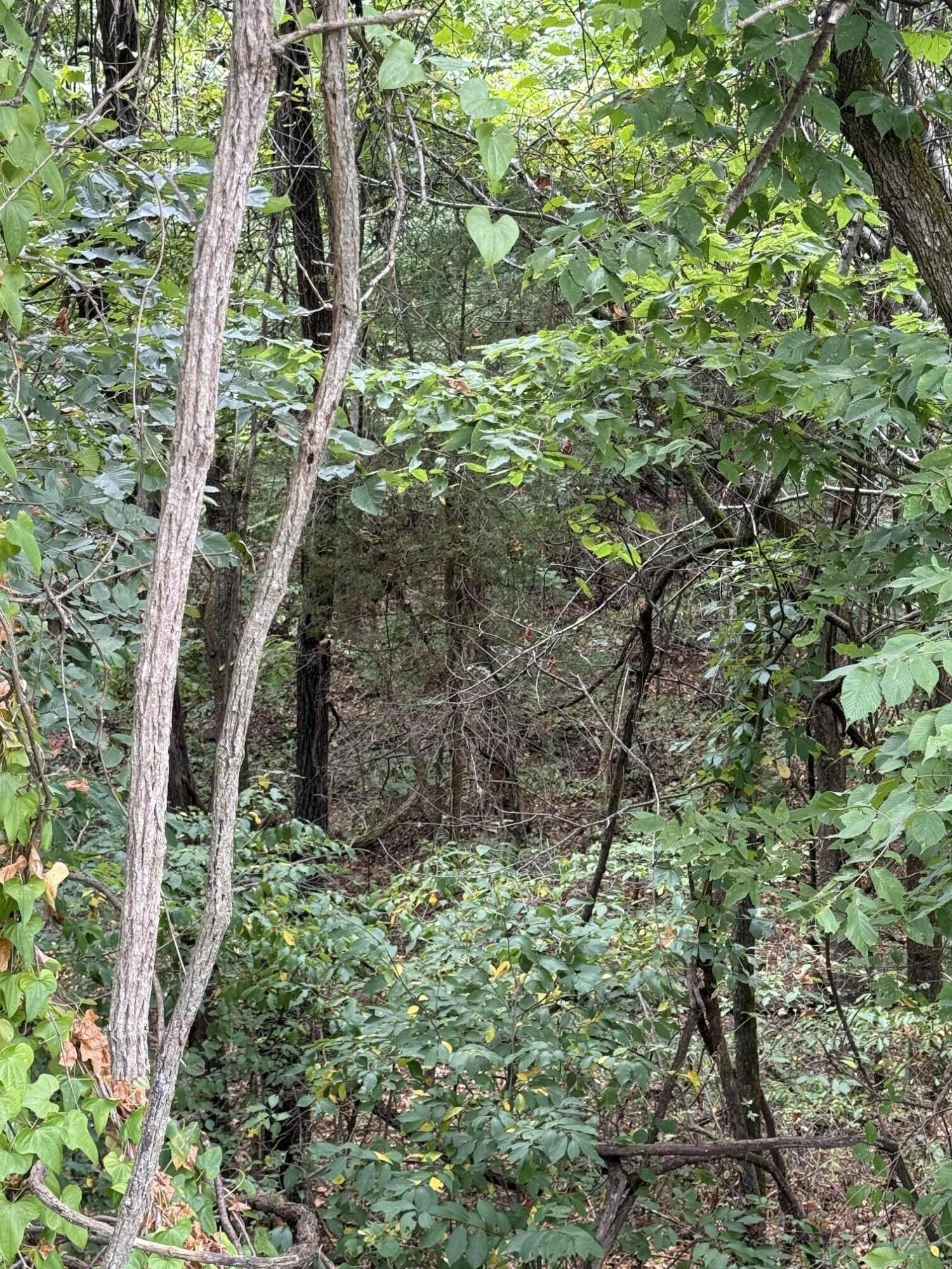 1435 Route Nn Property Photo 18