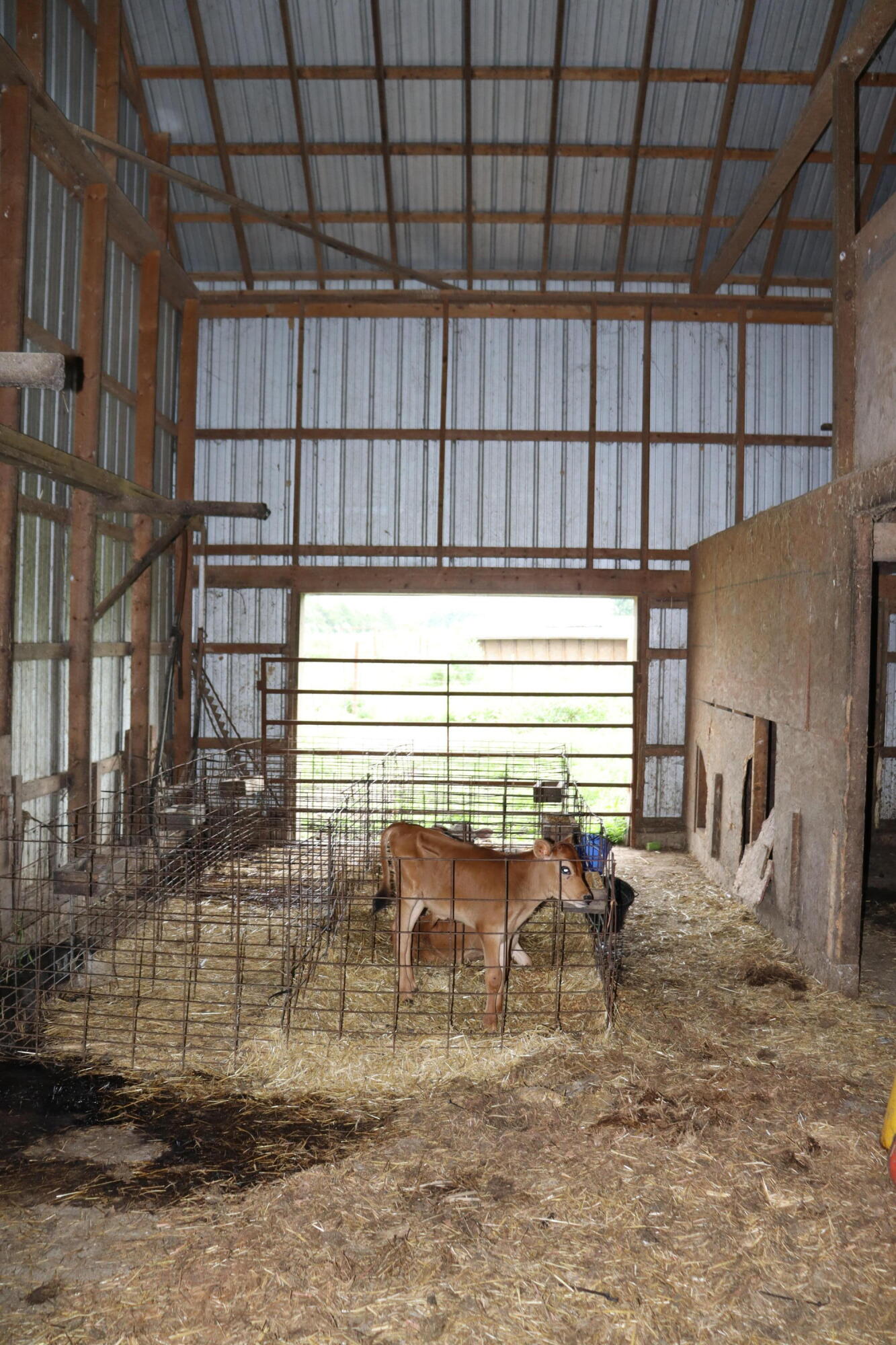 638 Centerpoint Road Property Photo 55